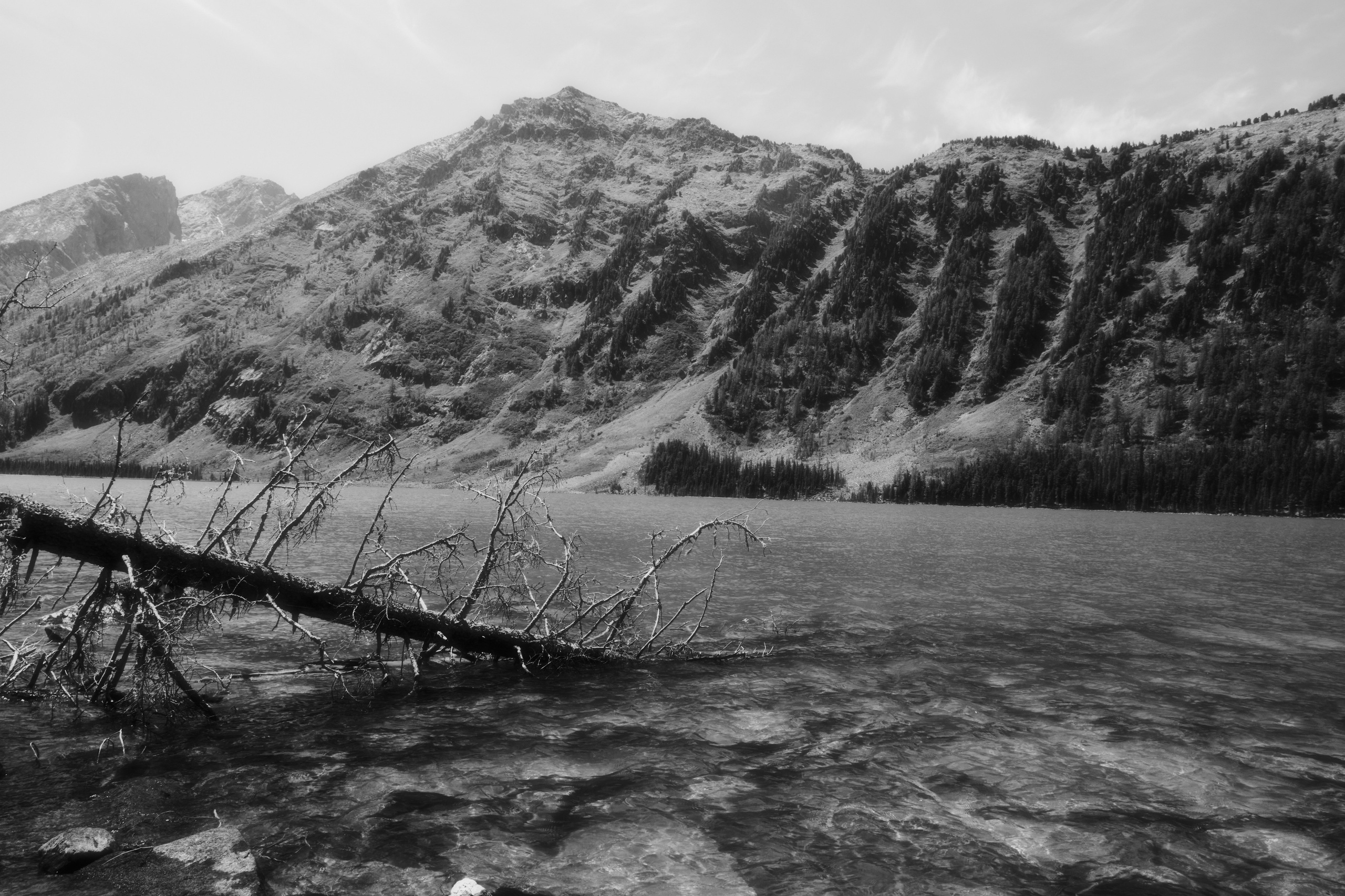 Коллекционная фотография в стиле минимализм, пейзаж . Современное концептуальное искусство России для оформления галерей и интерьеров.