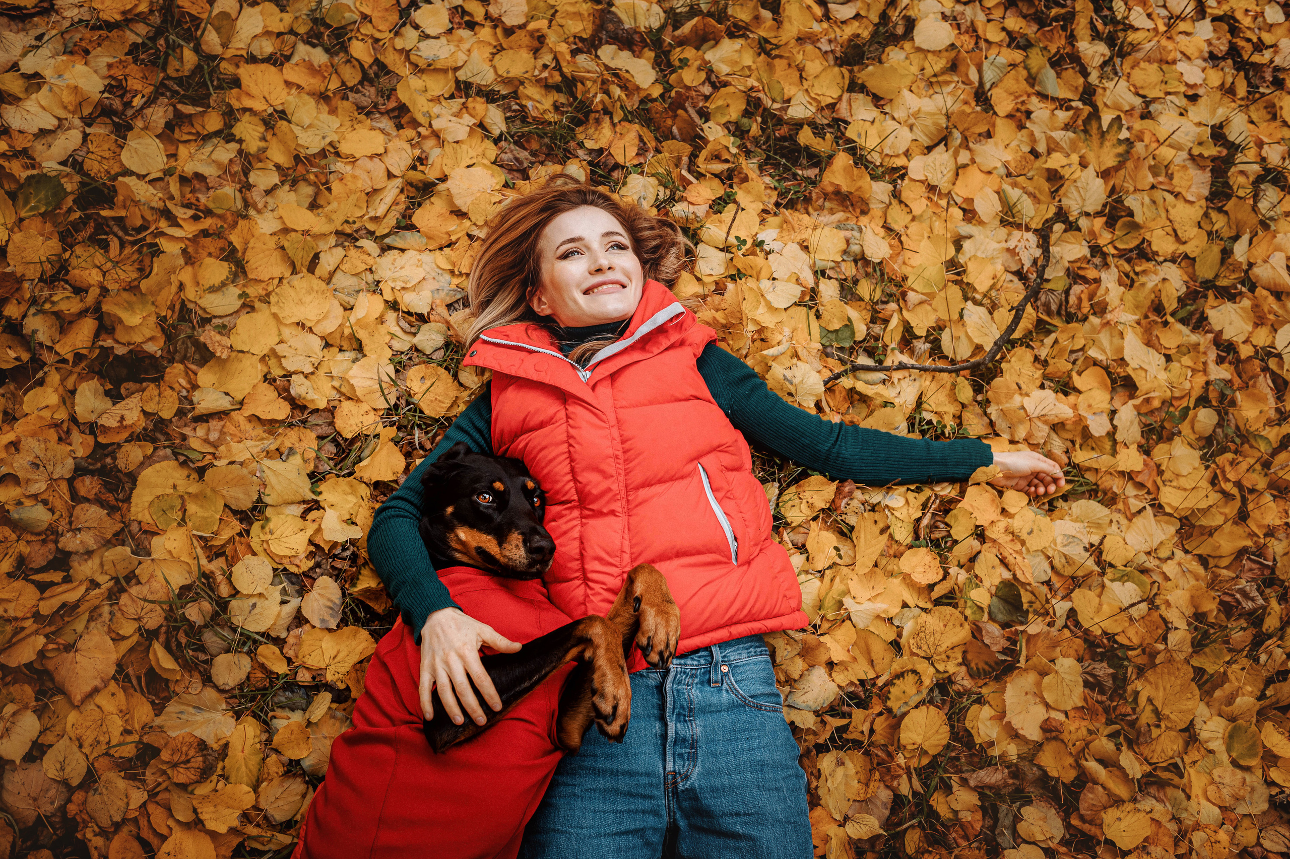 Как фотографировать домашних животных