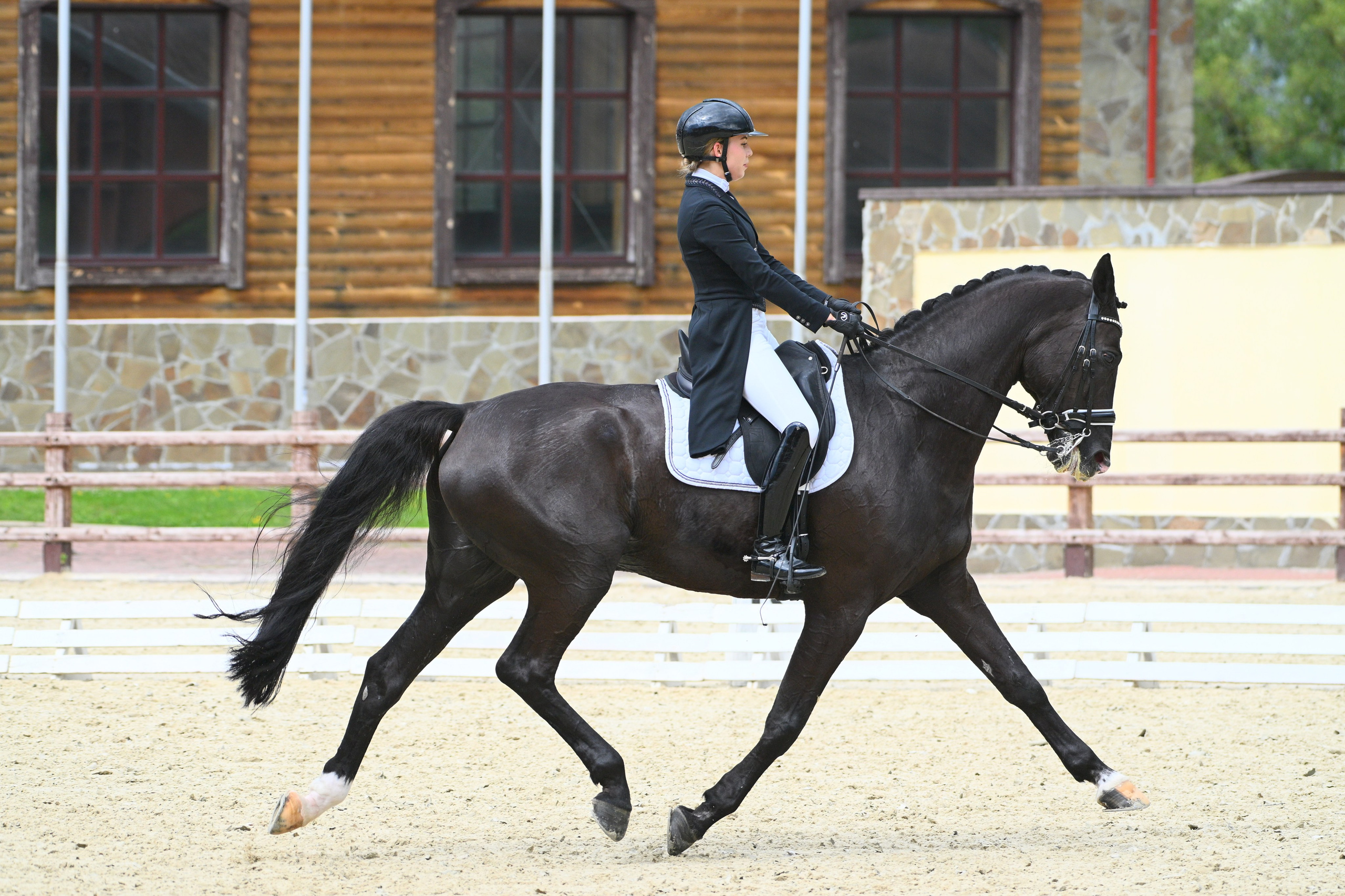 2025.08.09 ВЫЕЗДКА, ЛЕТНИЙ КУБОК КСК ПЕГАС. ТУРНИРНАЯ КОННАЯ ФОТОГРАФИЯ, Руднева Ольга и Евгений Адеев