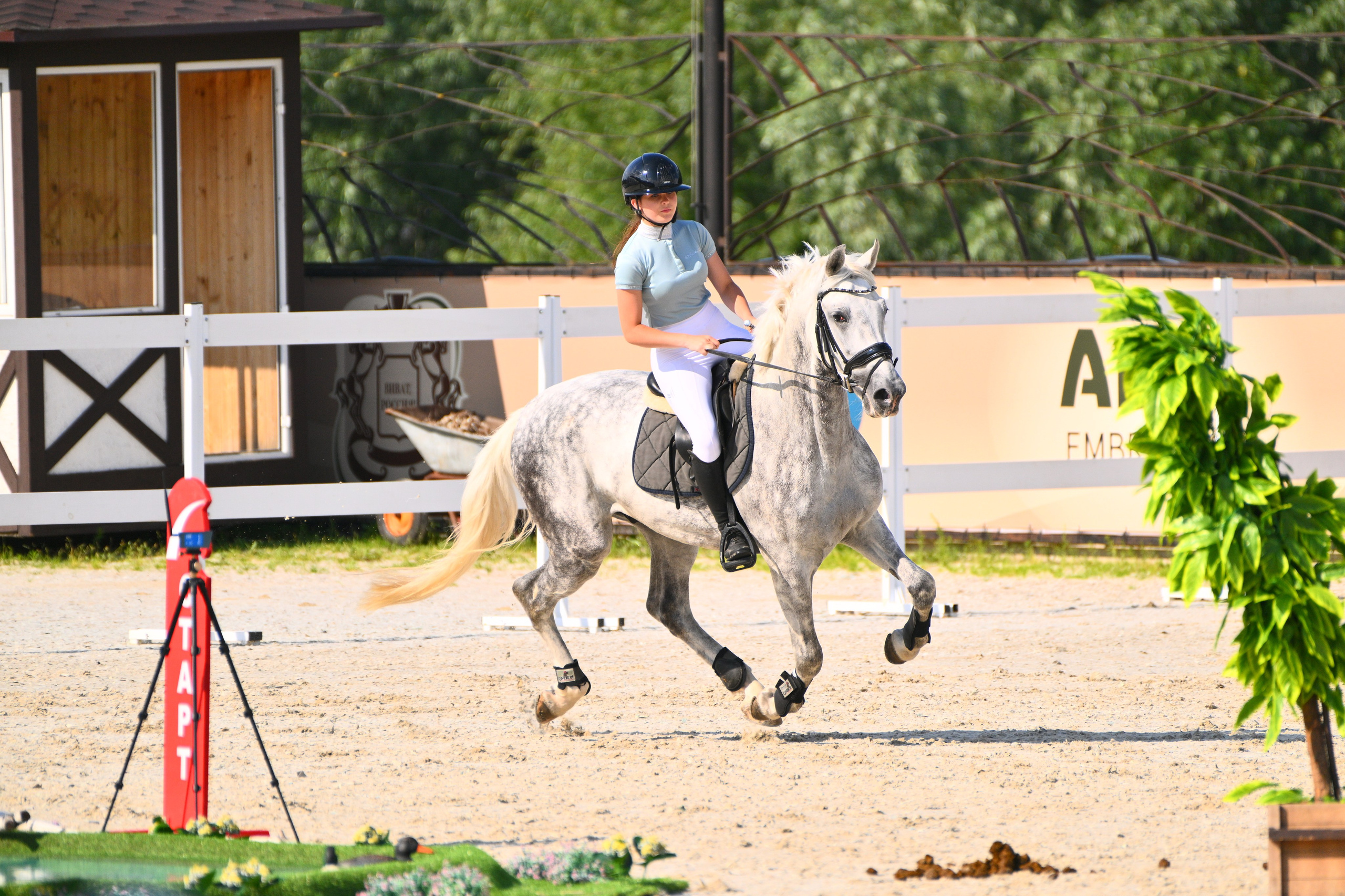 2025.07.17,18 И 20 — Кубок ВУЗов — Кубок МГАФК (КСК ВИВАТ, РОССИЯ!). ТУРНИРНАЯ КОННАЯ ФОТОГРАФИЯ, Руднева Ольга и Евгений Адеев