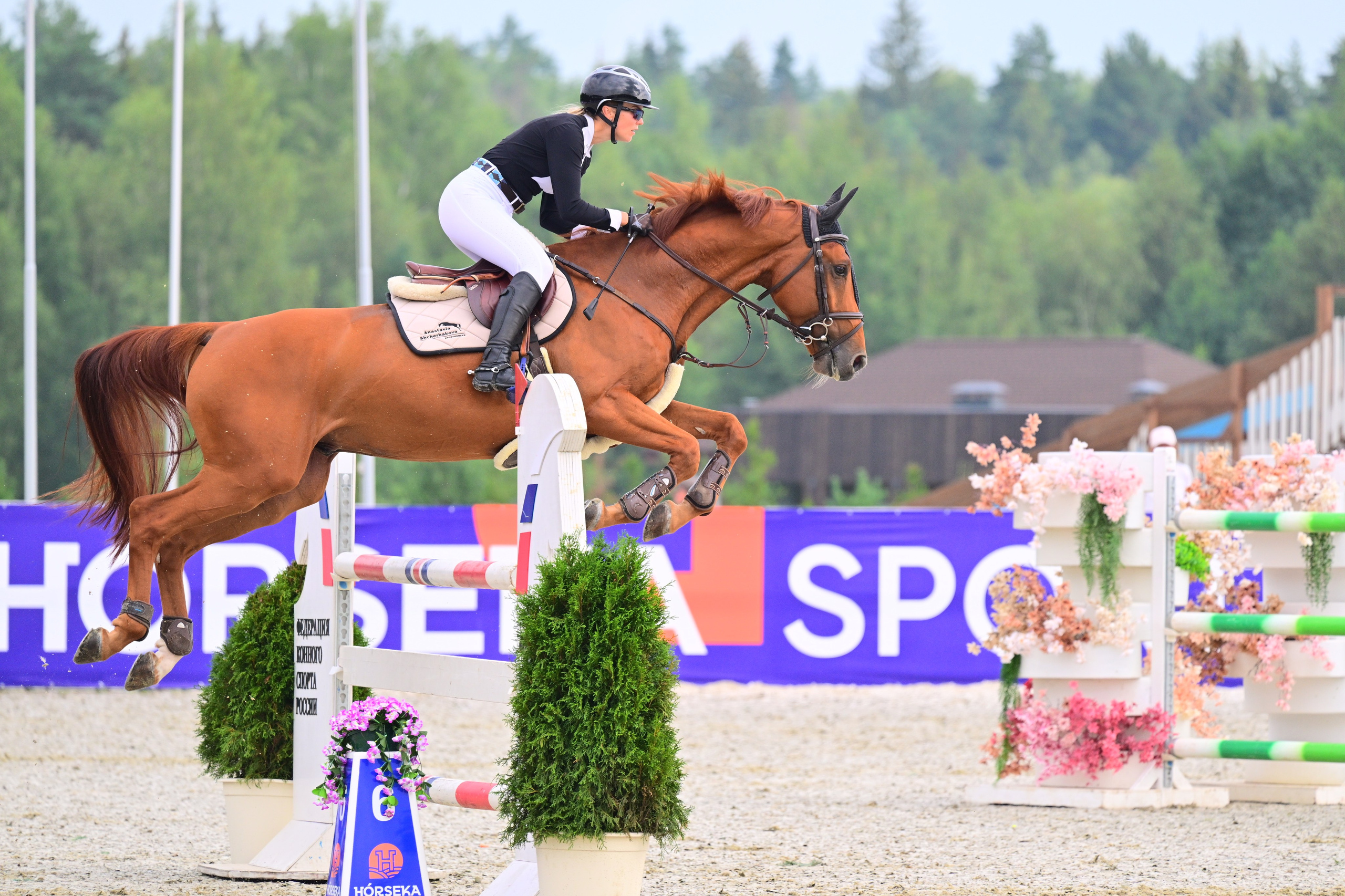 КСК Horseka, Чемпионат Росии+Молодые+Клубные, 30 июля — 3 августа,. ТУРНИРНАЯ КОННАЯ ФОТОГРАФИЯ, Руднева Ольга и Евгений Адеев