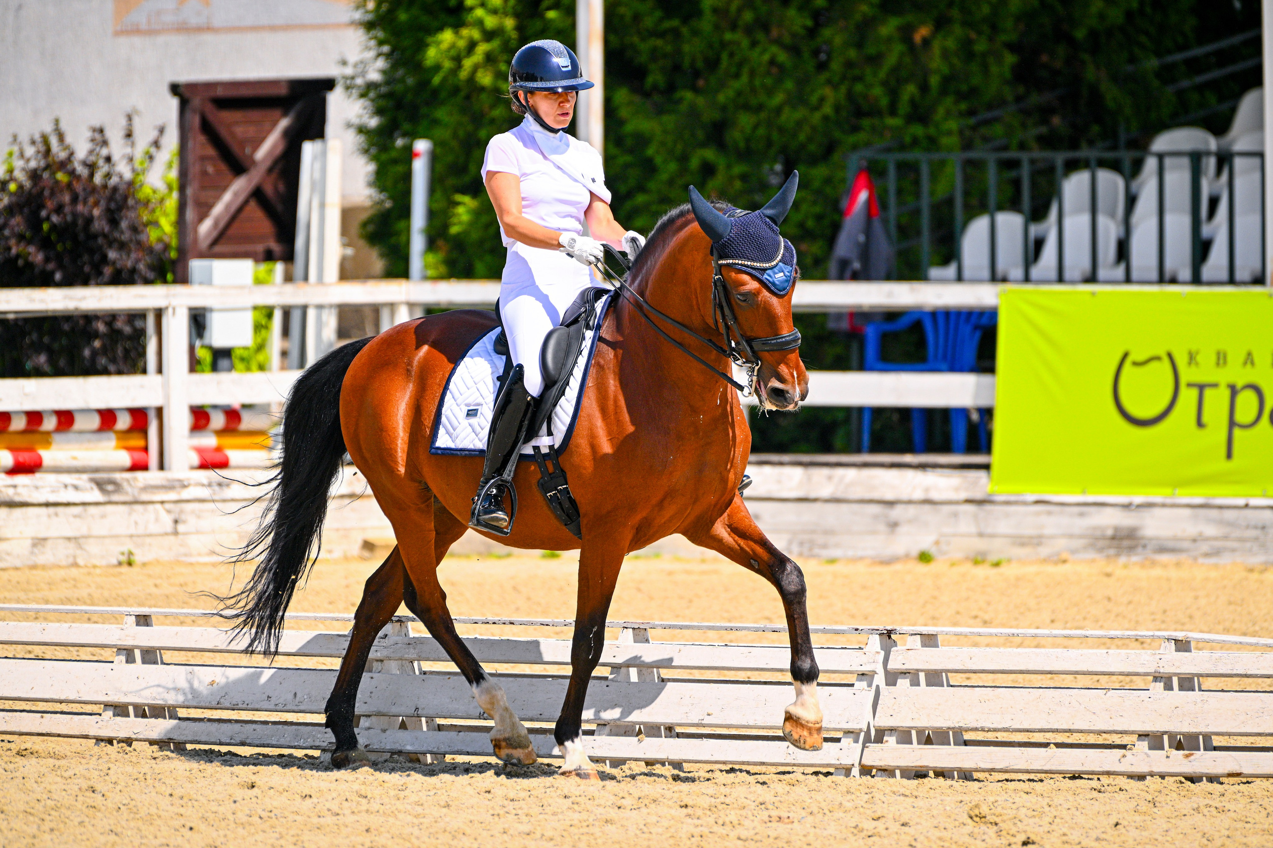 2025.07.11-13_ПЕРВЕНСТВО МОСКВЫ+КУБОК КСК «ОТРАДА» ПО ВЫЕЗДКЕ. ТУРНИРНАЯ КОННАЯ ФОТОГРАФИЯ, Руднева Ольга и Евгений Адеев
