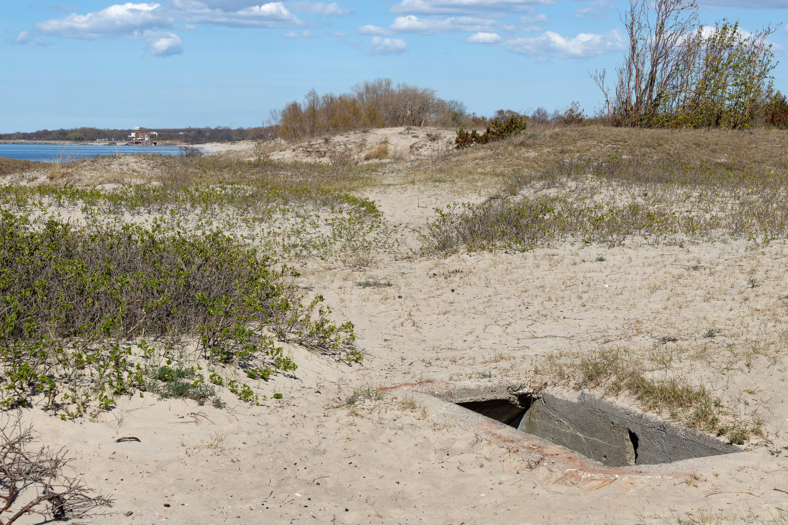 Инородное тело