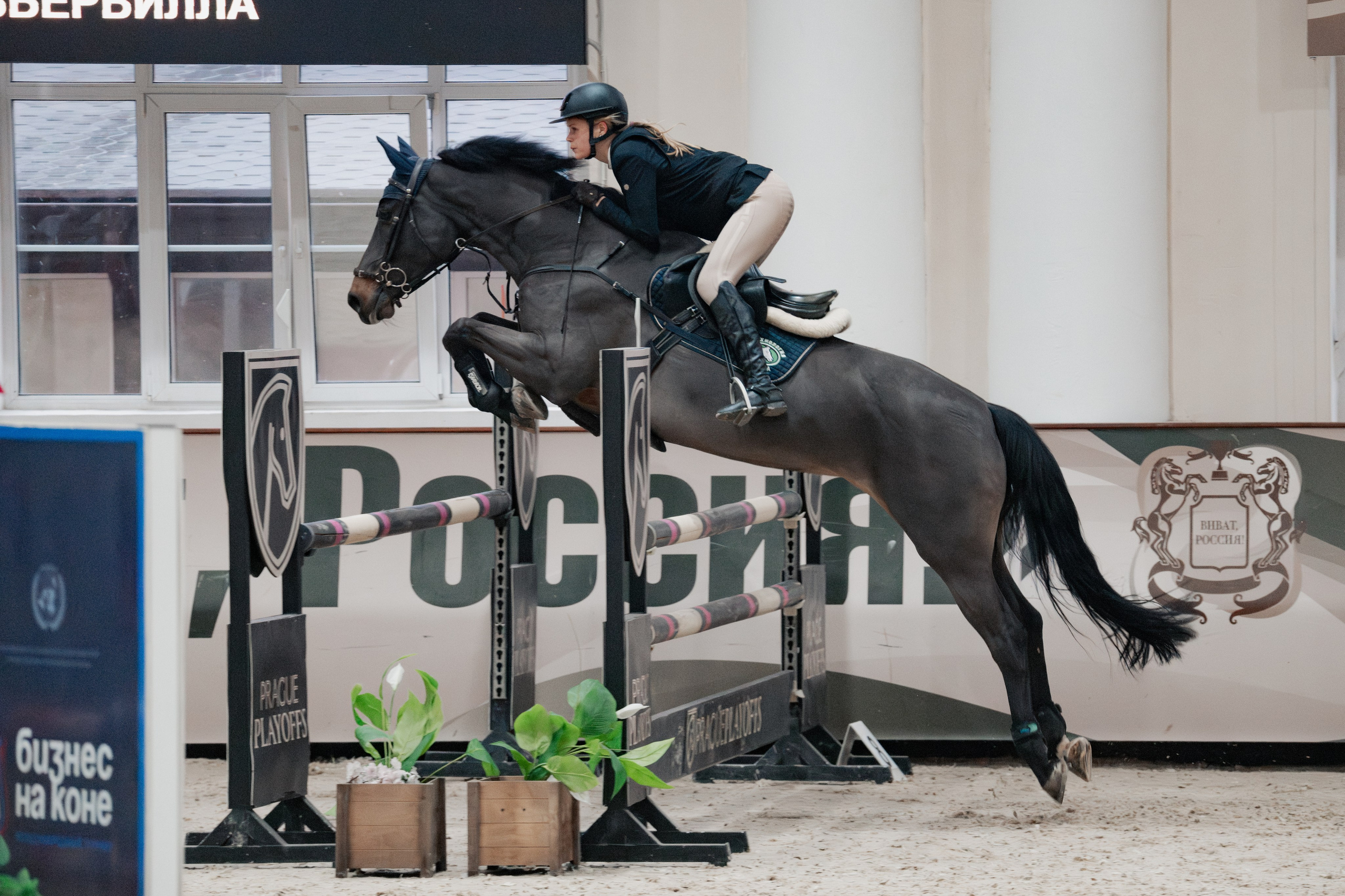 Спортивные мероприятия. Куракина Дарья • Конный фотограф