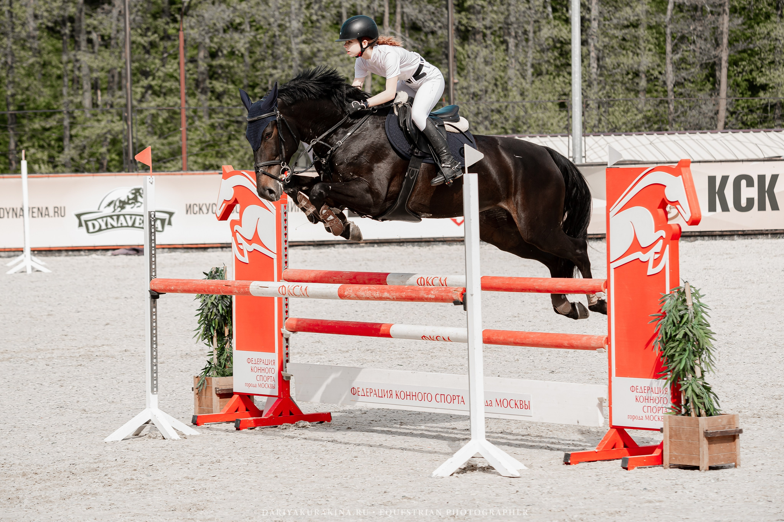 Спортивные мероприятия. Конный фотограф Куракина Дарья • Фотосессии с лошадьми