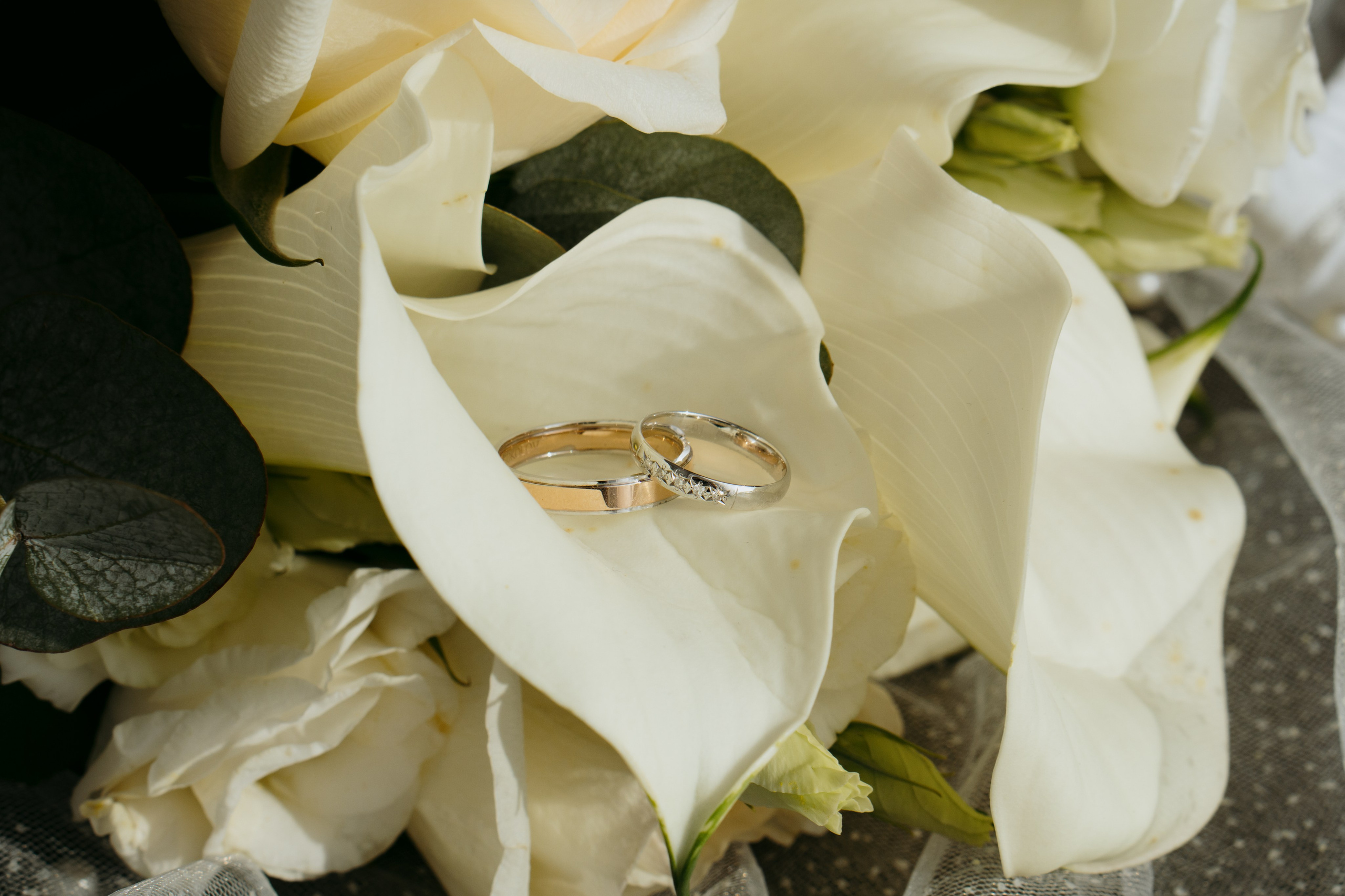 Prices. Portrait photographer Nha Trang | Julia Meshanina