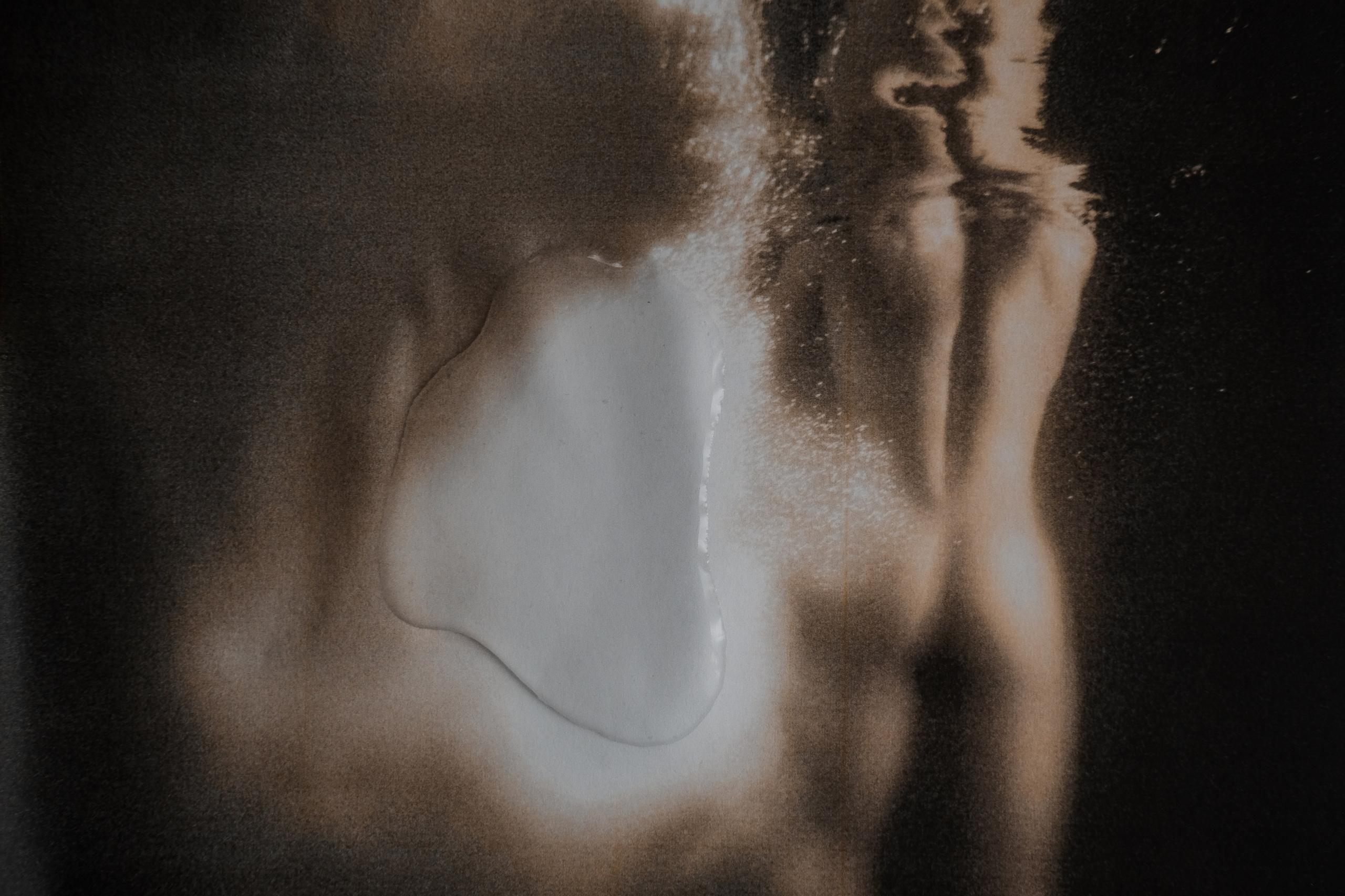 MORPHOLOGY OF THE UNIVERSE. VISUAL ARTIST. OLGA ZHDANOVA