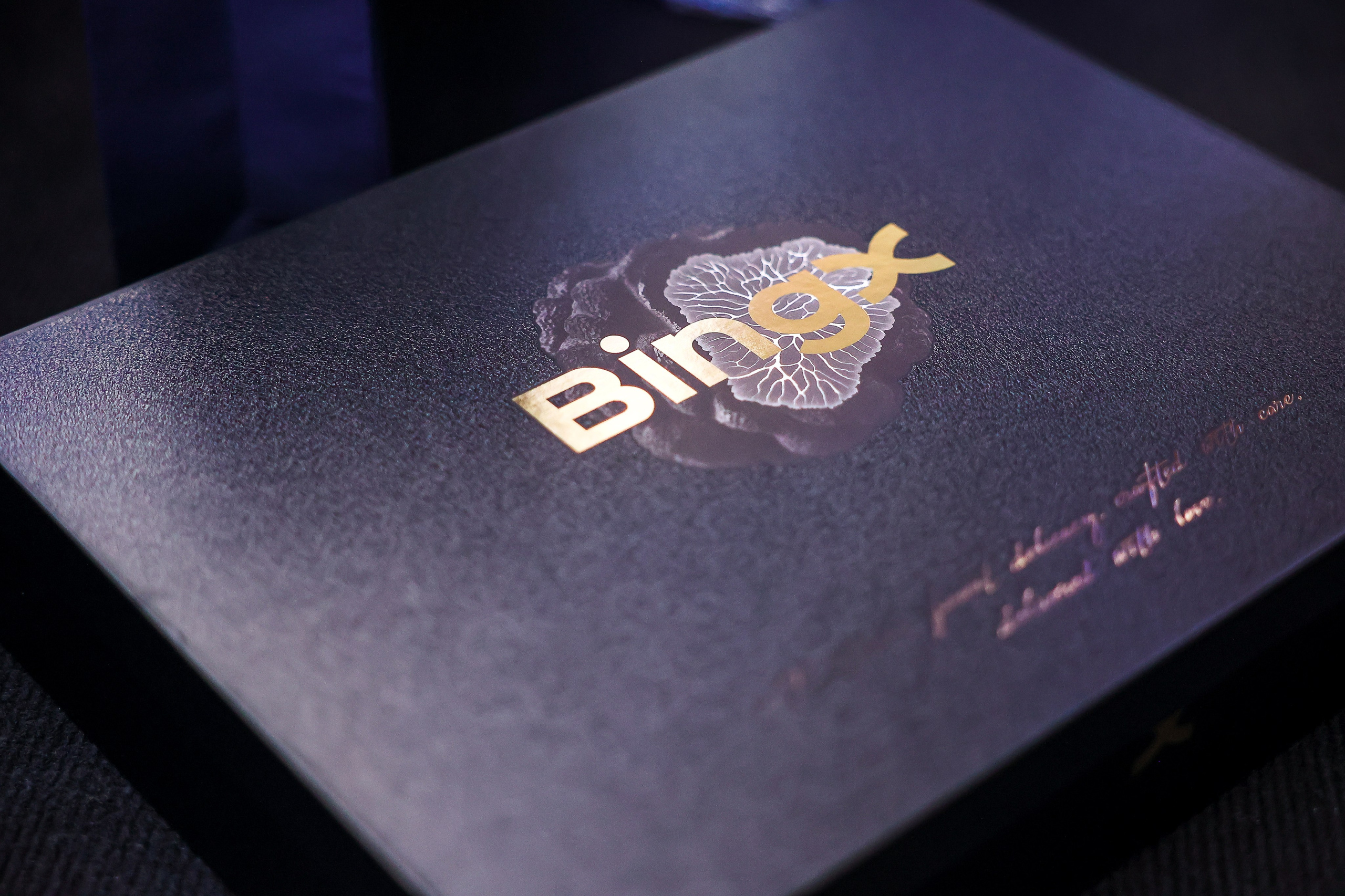 BingX at Crypto Summit · March 25–26, 2026 | Фотоотчёт мероприятия