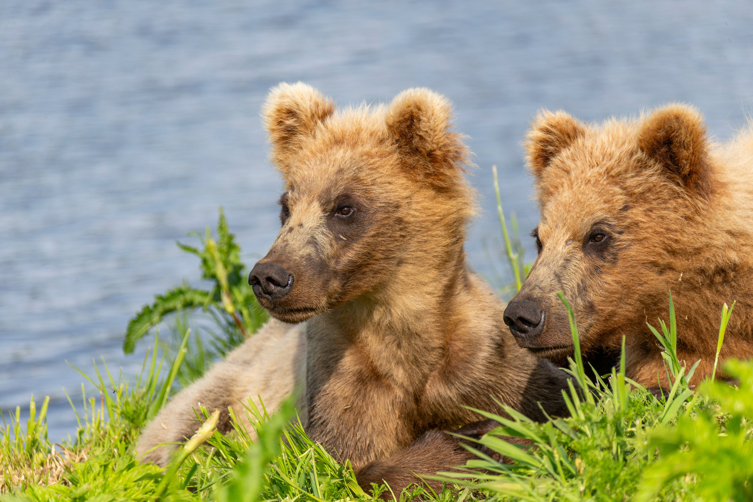 Путешествия по Камчатке и Северным Курилам. Время Камчатки: чтобы найти свой путь, нужно скорость умножить на время