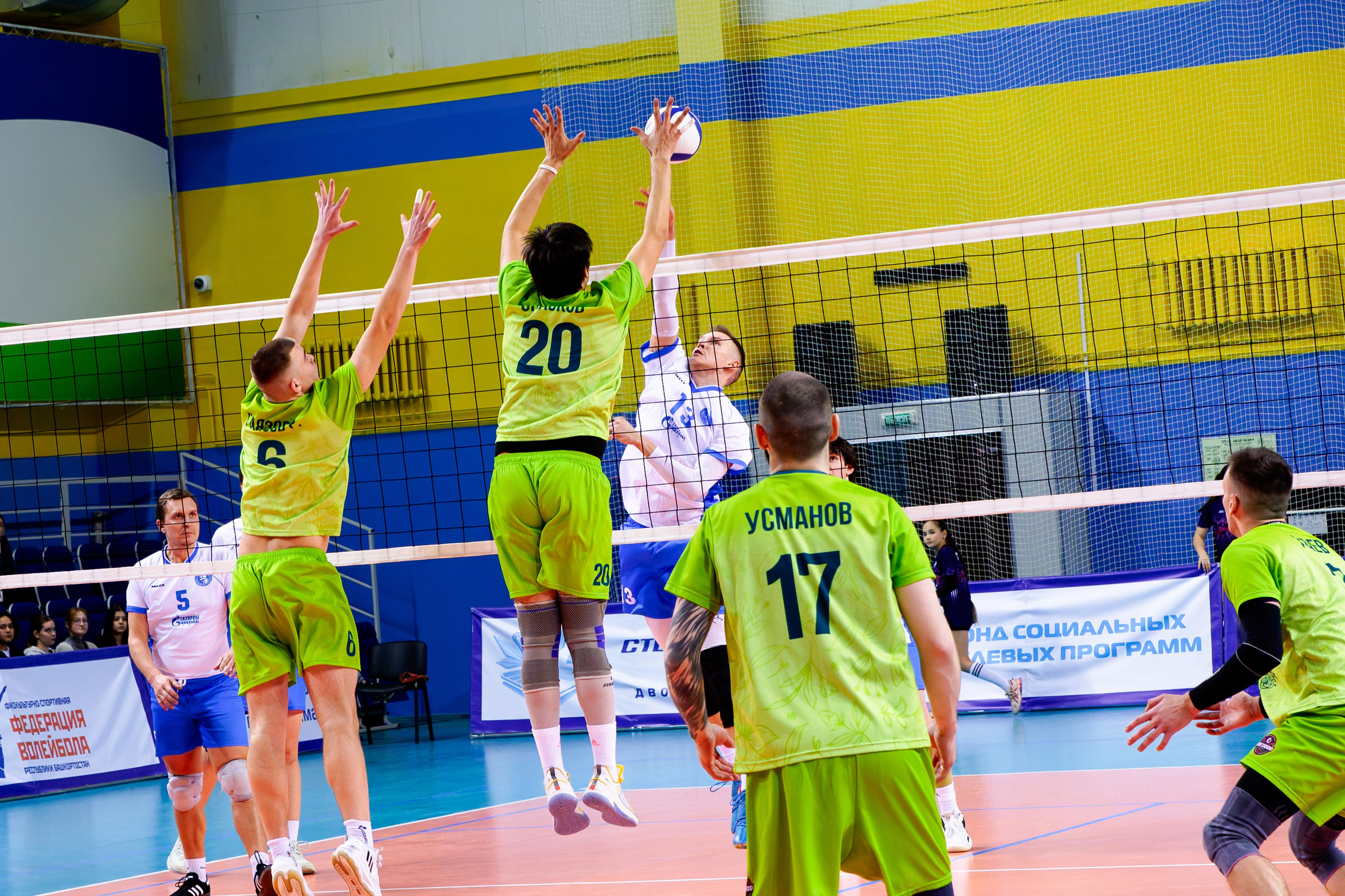 Услуги. Фотограф людей, белок и единорогов)