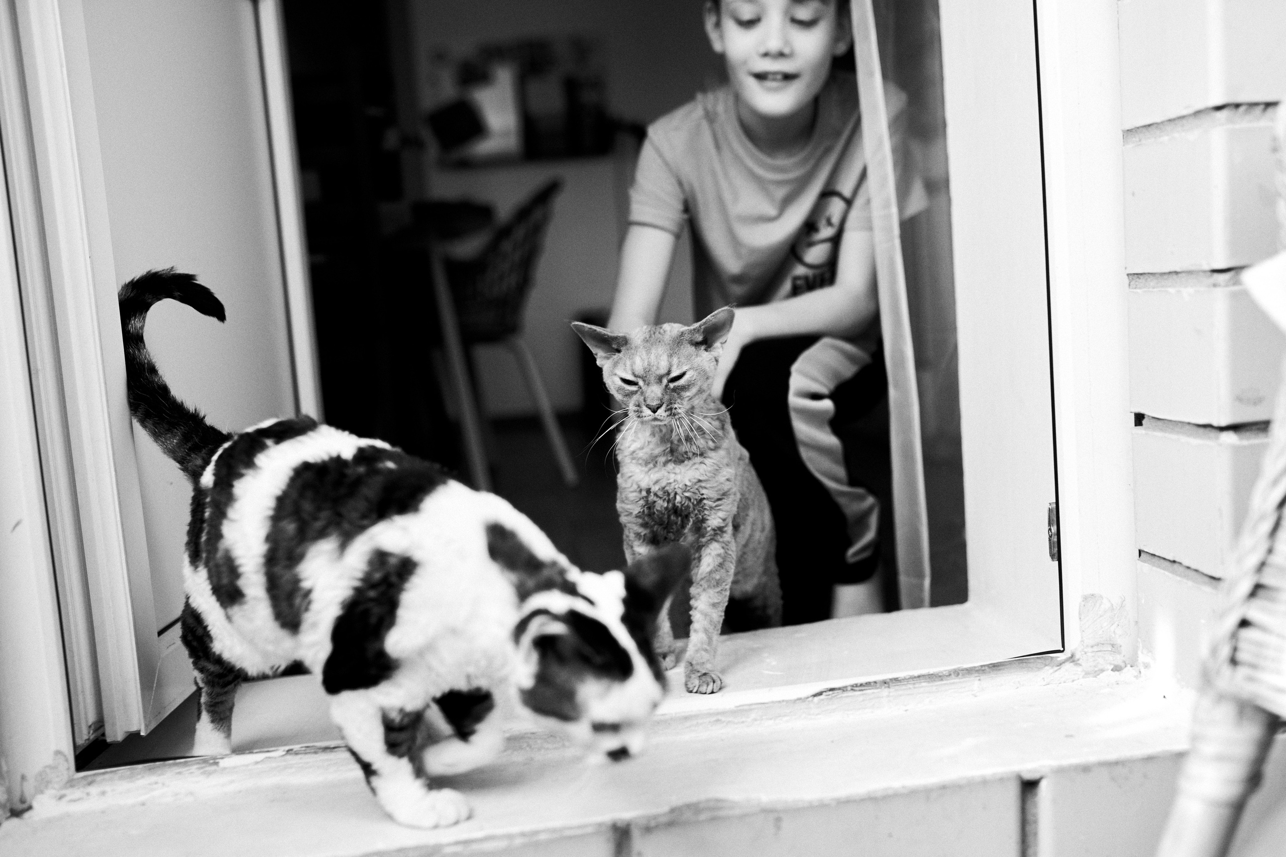 Услуги и стоимость. ✖‿📷 Фотограф| Москва