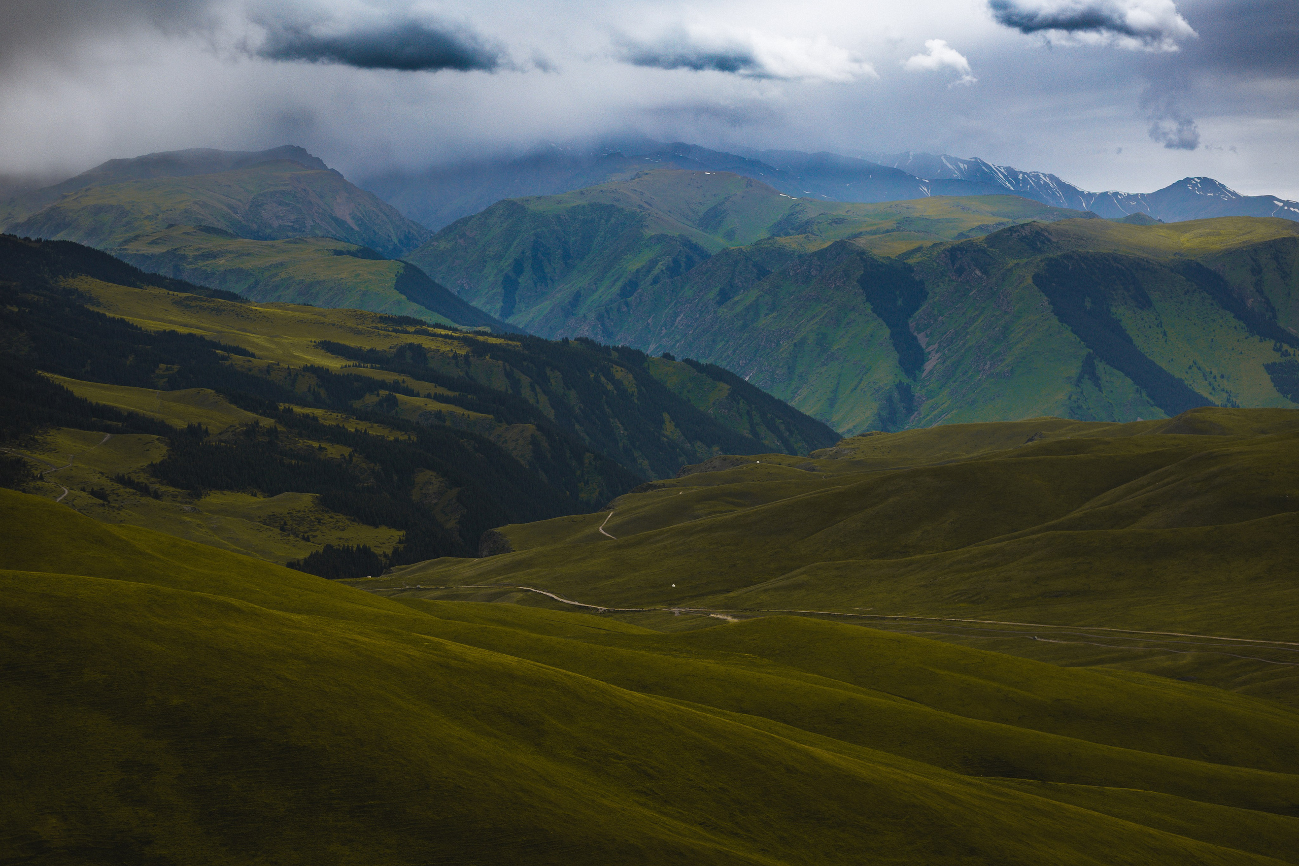 Фото озера Каинды:Озеро Каинды — затопленный лес, торчащие ели, экотакси, конная прогулка, мистическое озеро, достопримечательности Казахстана