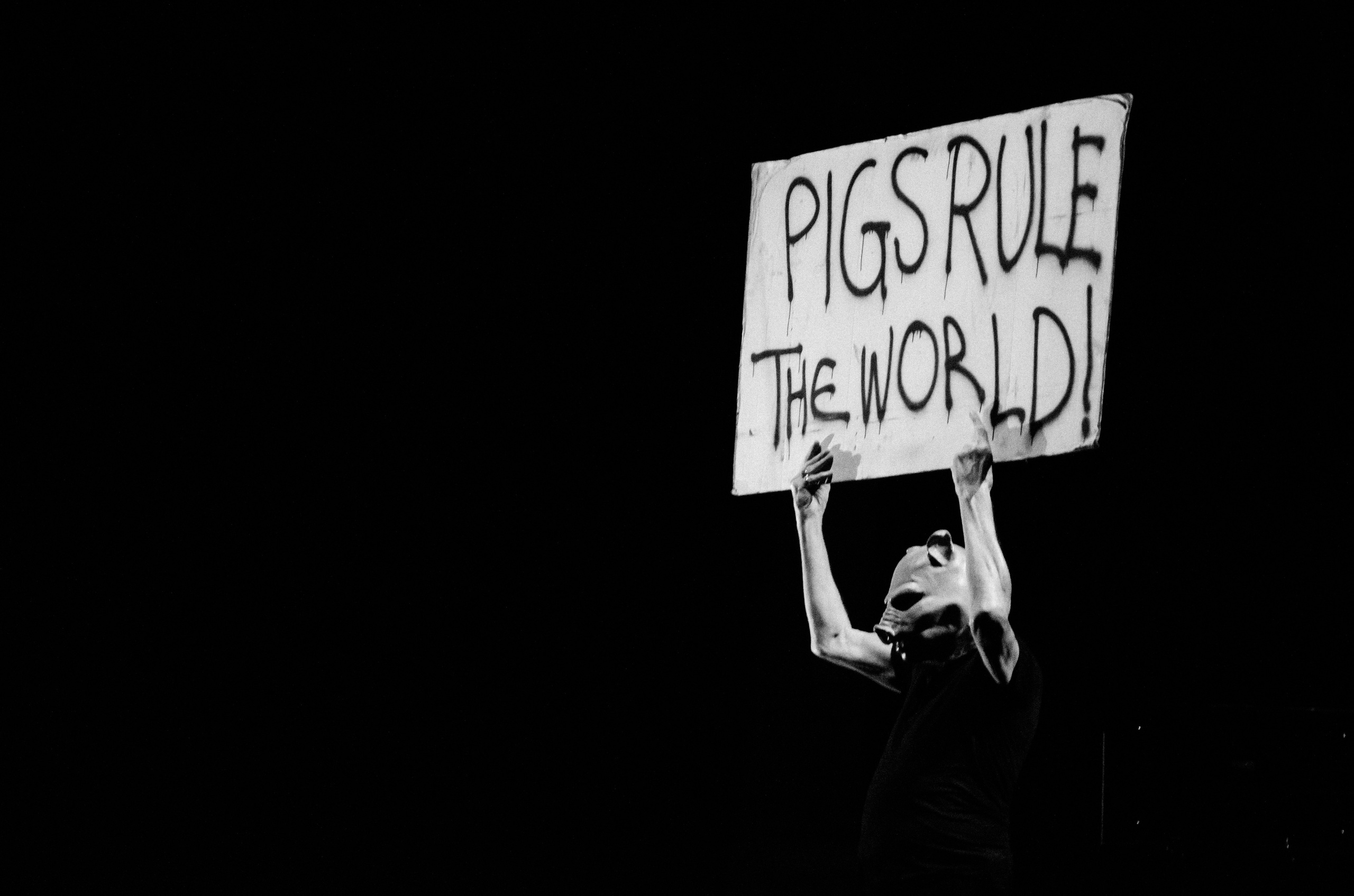 Концерт Роджера Уотерса в Олимпийском. Репортажный и свадебный фотограф в Курске Борис Захарчук