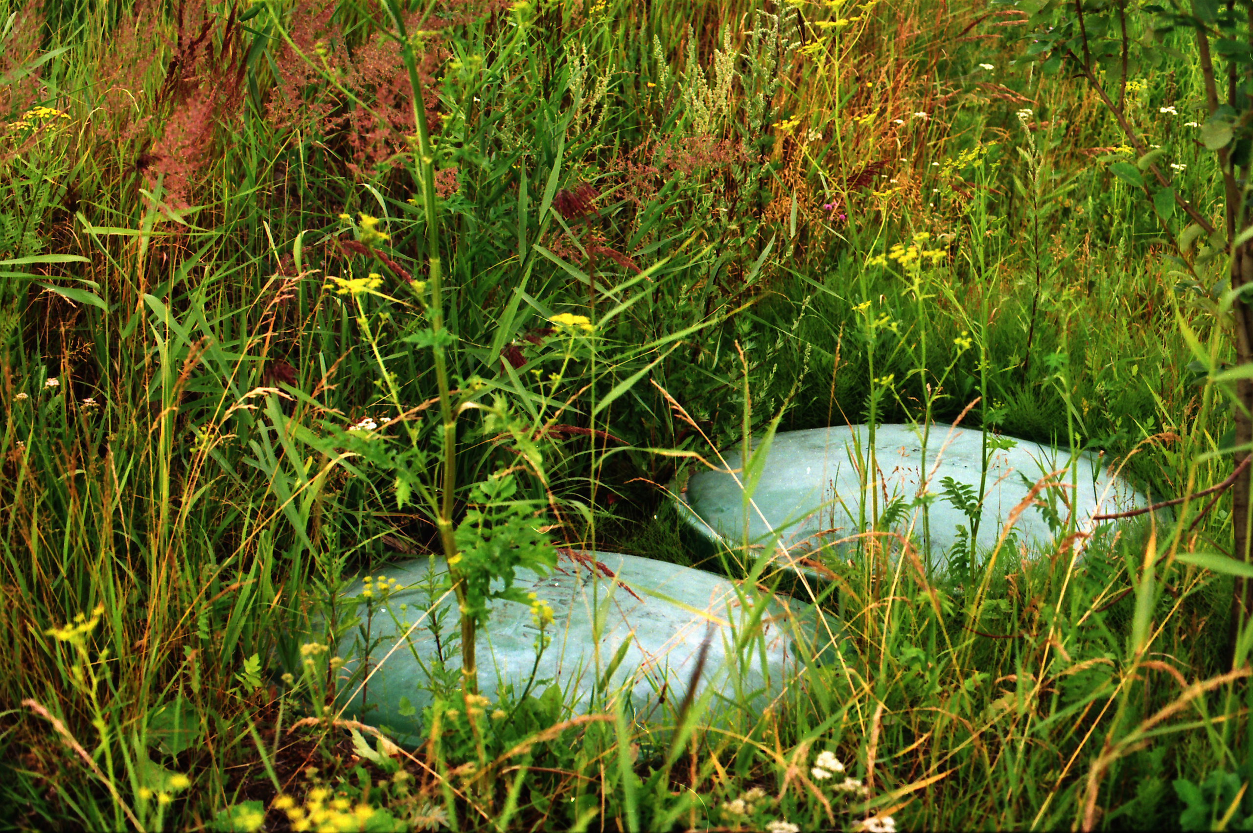 Красненькая биеннале 2021 (СПБ)