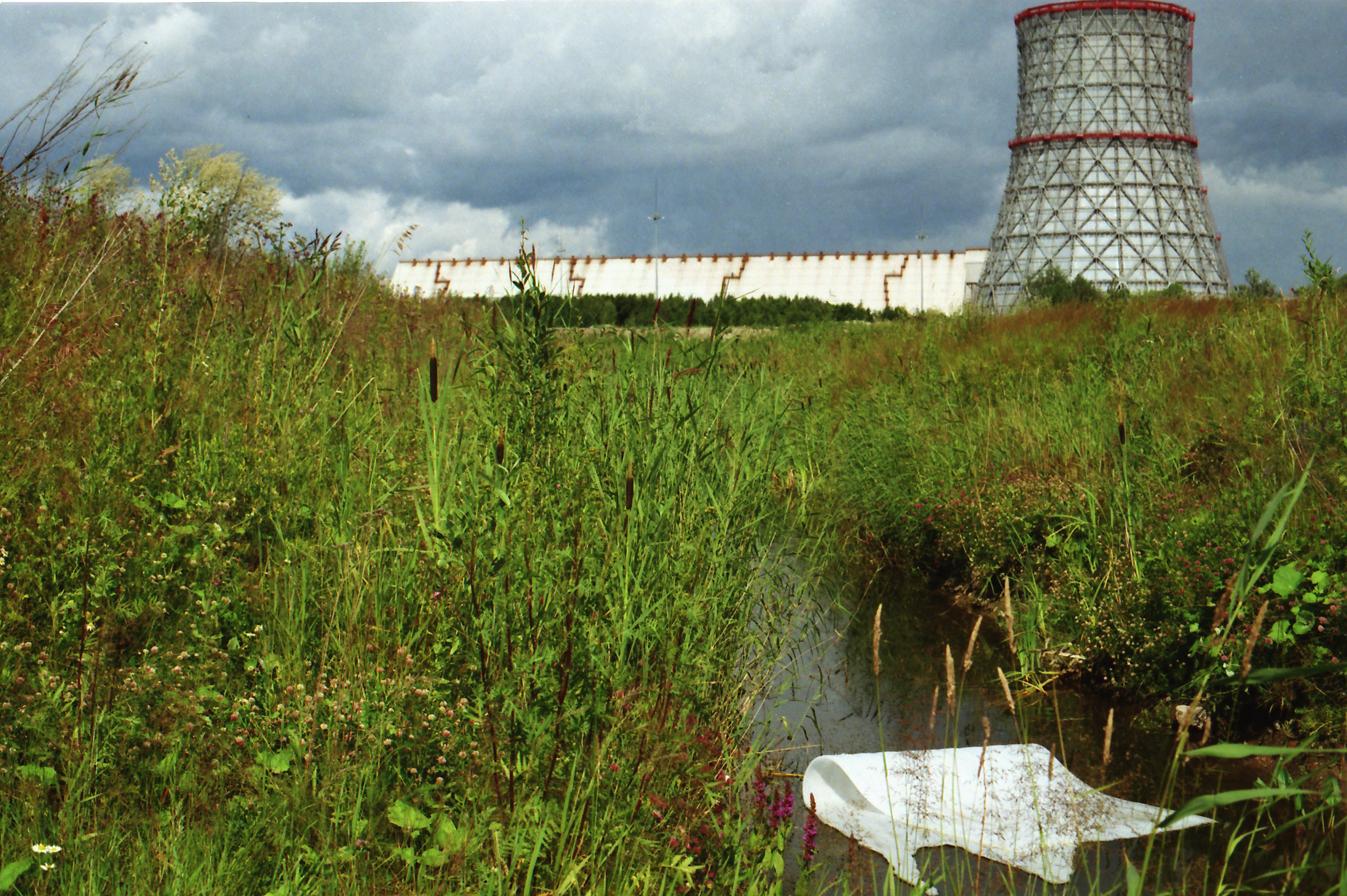 Красненькая биеннале 2021 (СПБ)