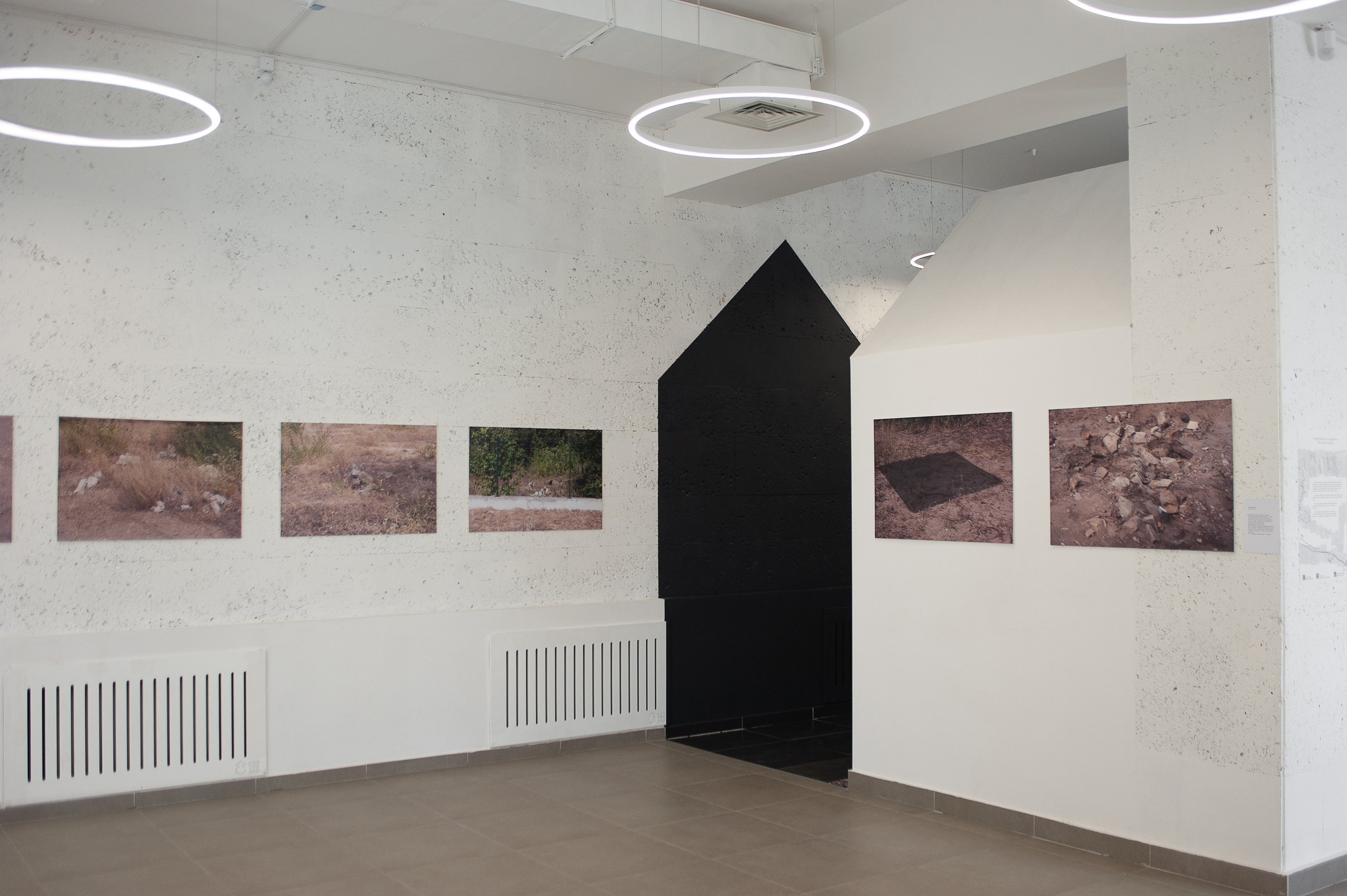 Шепилова Елена. «ФотоСинтез»