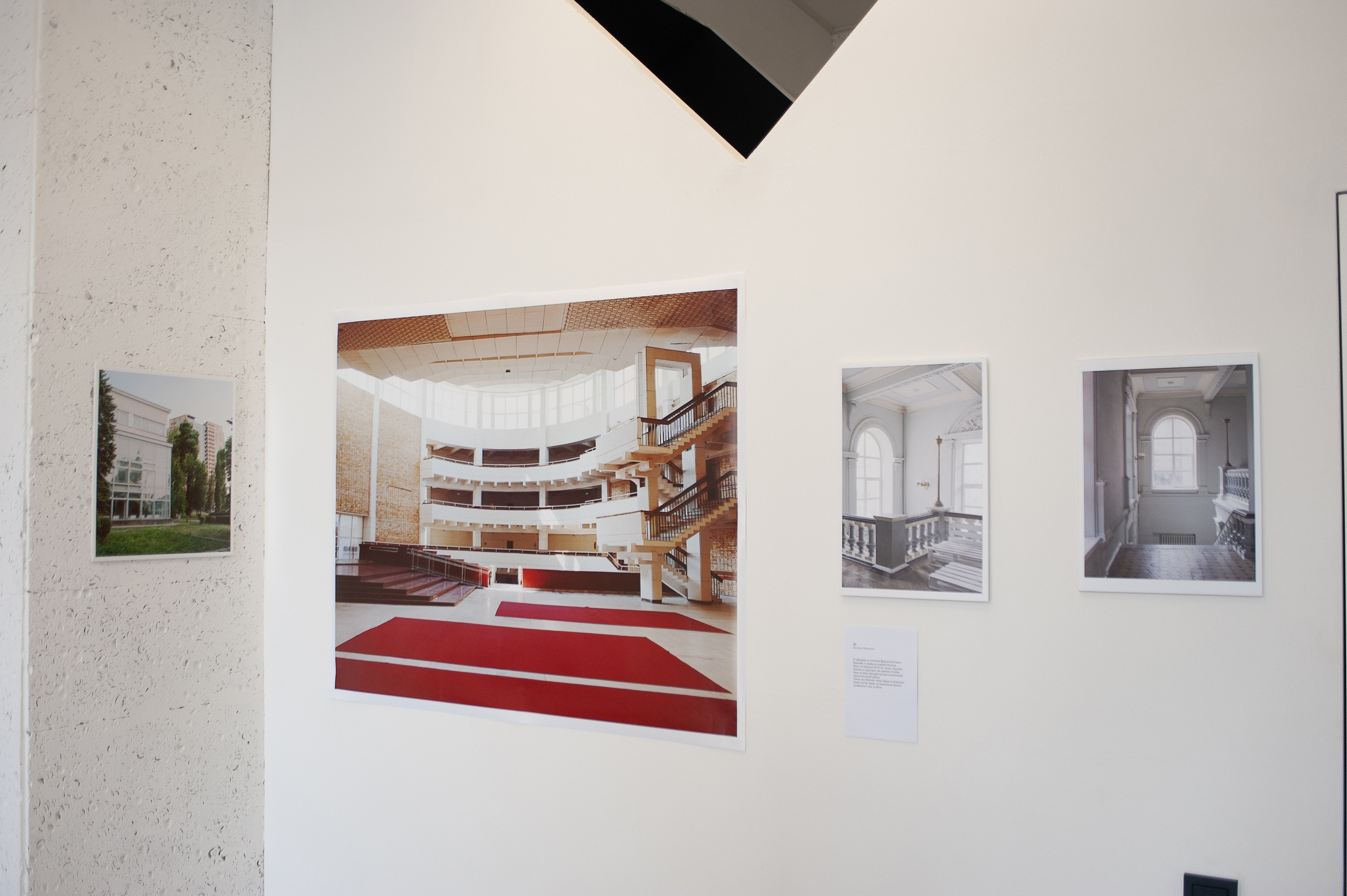 Воронецкий Дмитрий. «ФотоСинтез»