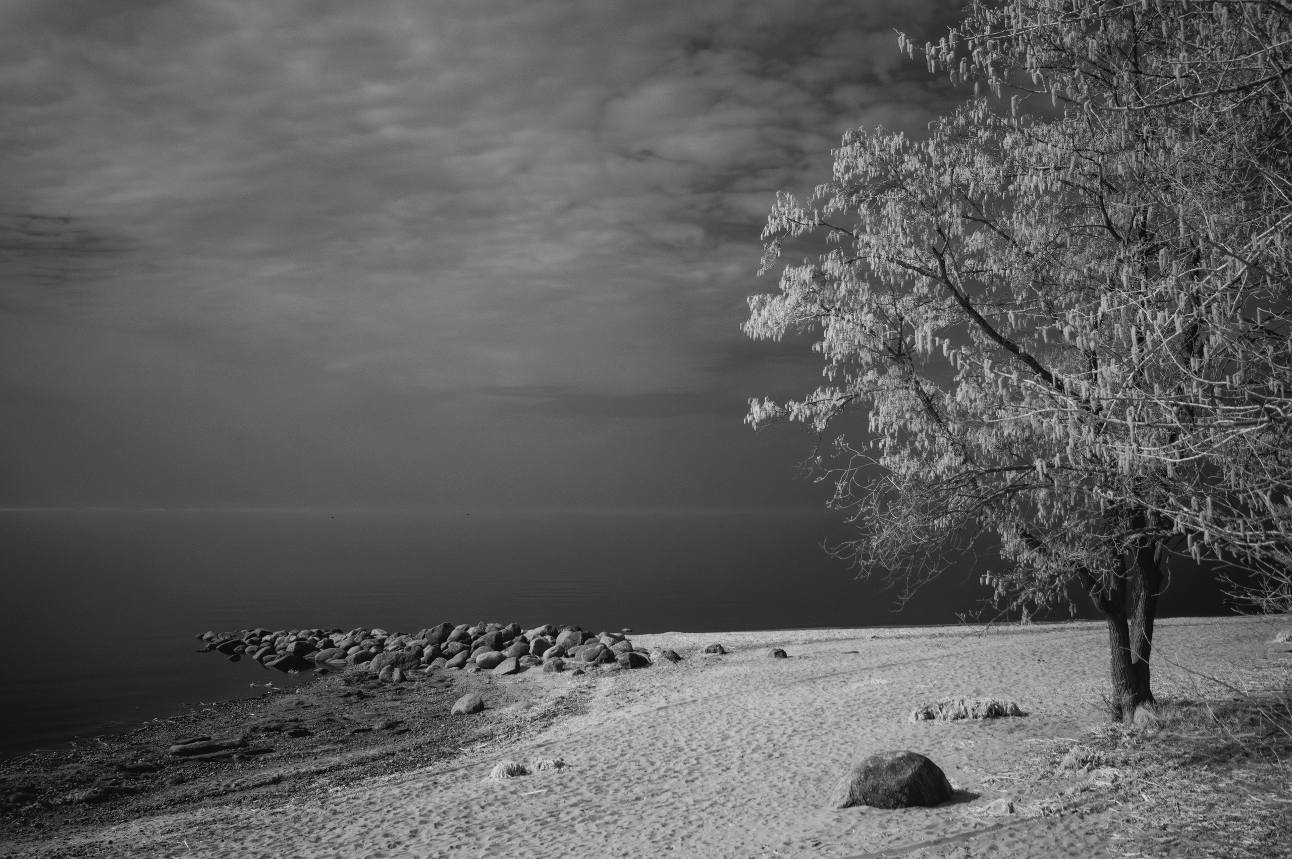 Инфракрасная модификация. AThumbnails