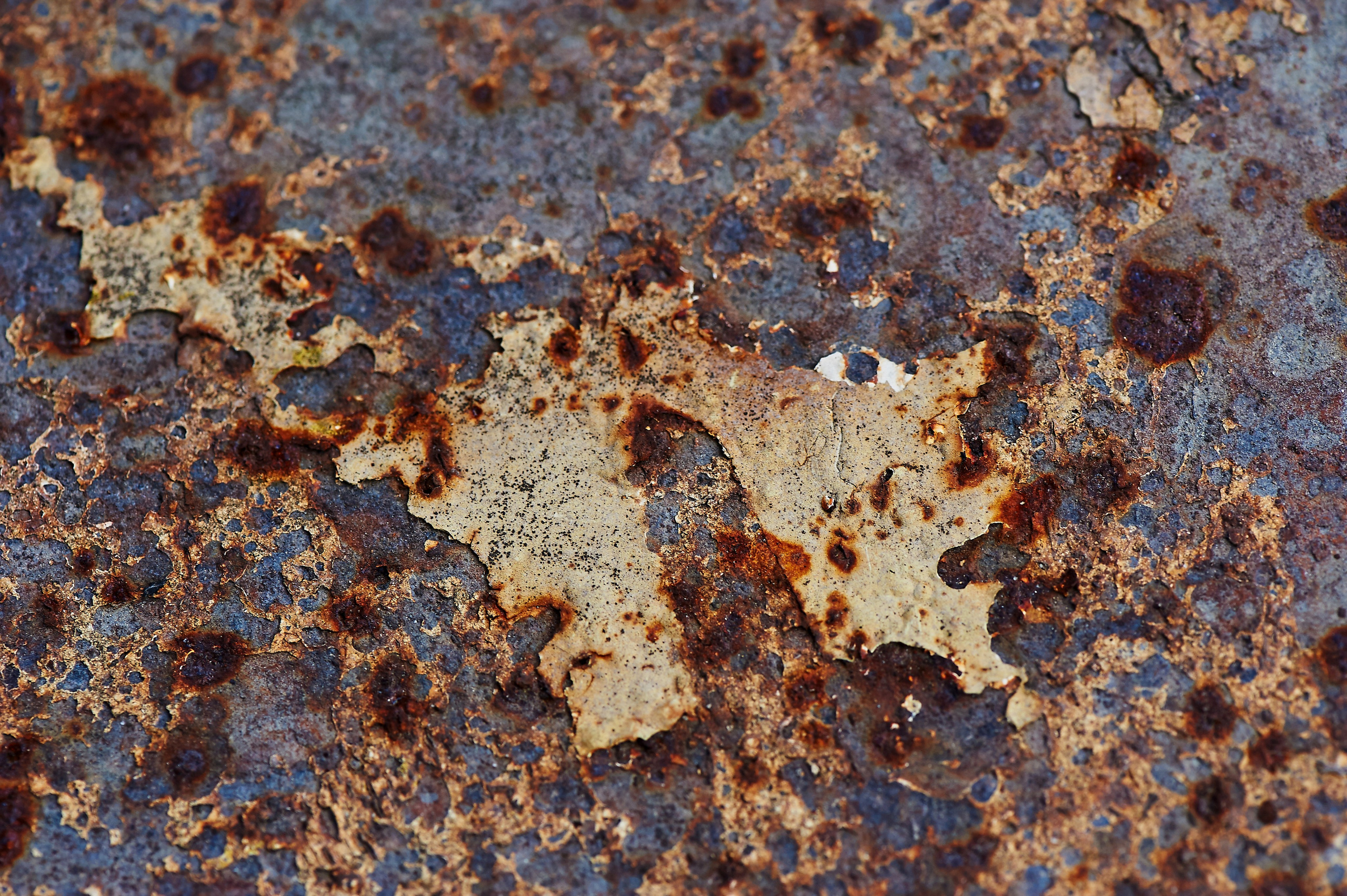 Фотобанки. Фотограф, психолог в Москве, Жуковском, Раменском Галина Майлер