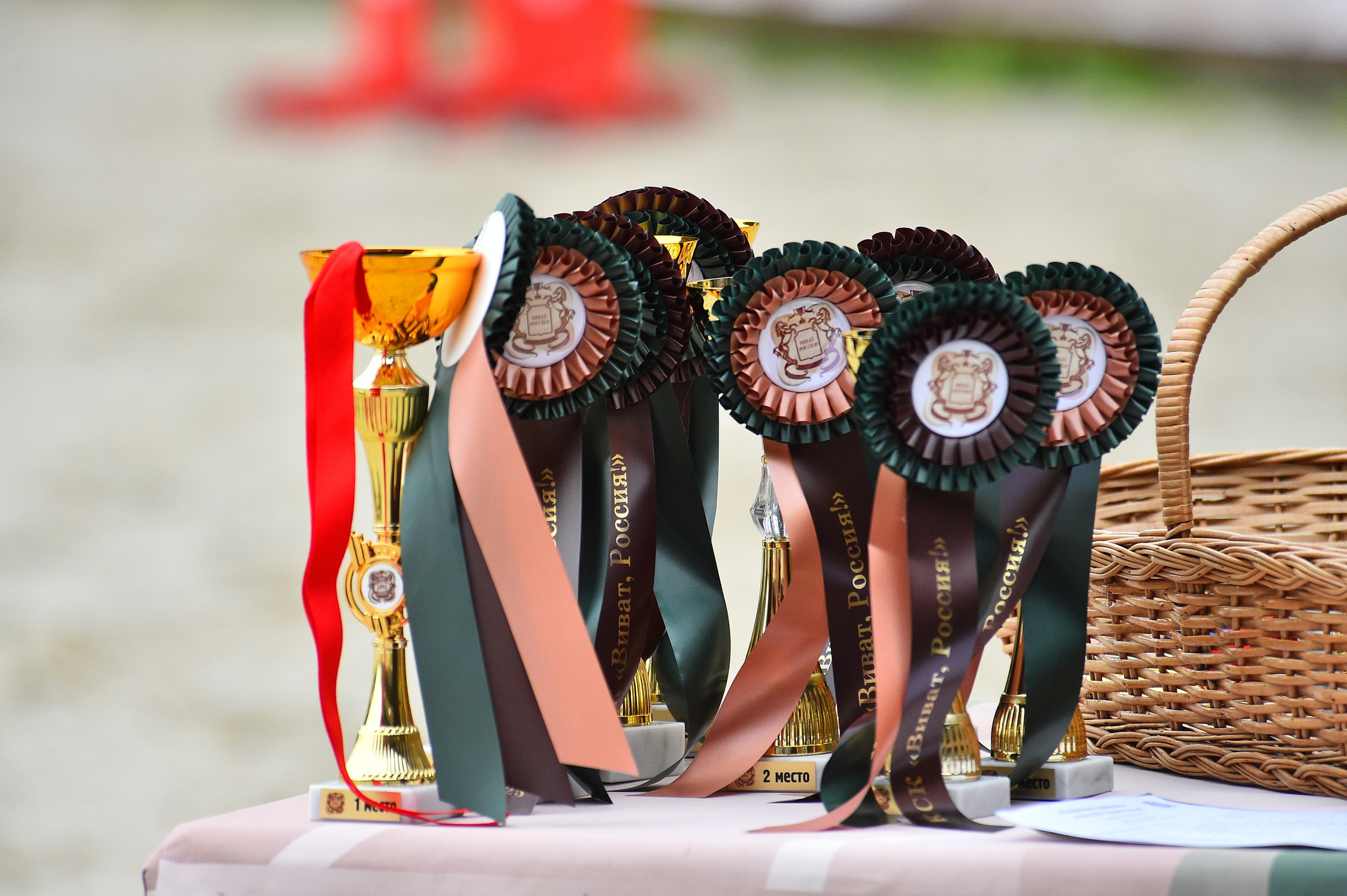 2025.08.22 и 23 — ВИВАТ_конкур. ТУРНИРНАЯ КОННАЯ ФОТОГРАФИЯ, Руднева Ольга и Евгений Адеев