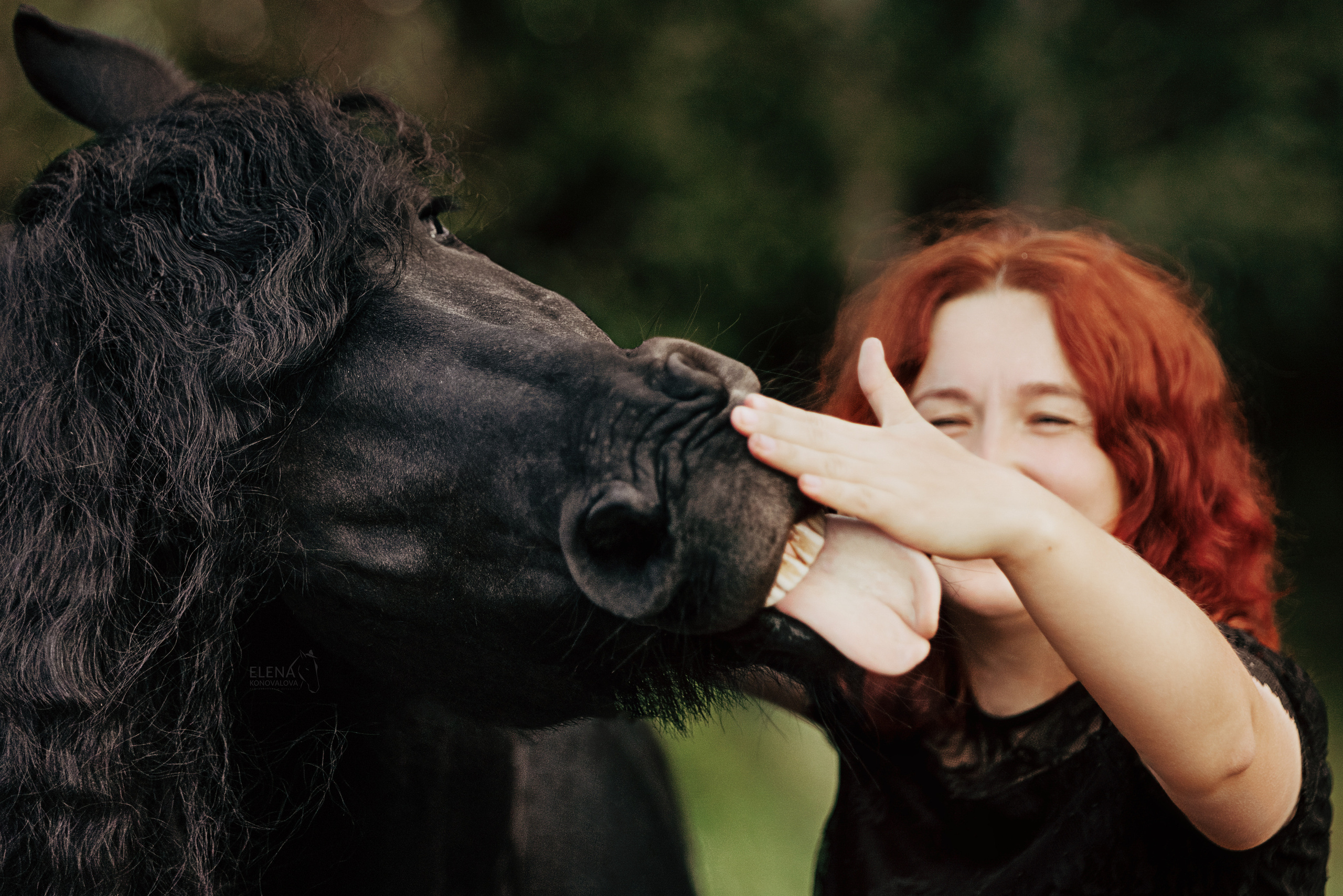 фотограф Иркутск, фотосессия иркутск стоимость, фотосессия иркутск цены, фотосессия иркутск стоимость в студии, сколько стоит фотосессия в иркутске, фотосессия в иркутске цены студии фото, сертификат на фотосессию иркутск, фотограф иркутск цены, елена фотограф иркутск, прайс фотографа в Иркутске, стоимость фотосессии Иркутск, фотосессии с лошадью Иркутск, конный фотограф, фото с собакой Иркутск, анималист Иркутск