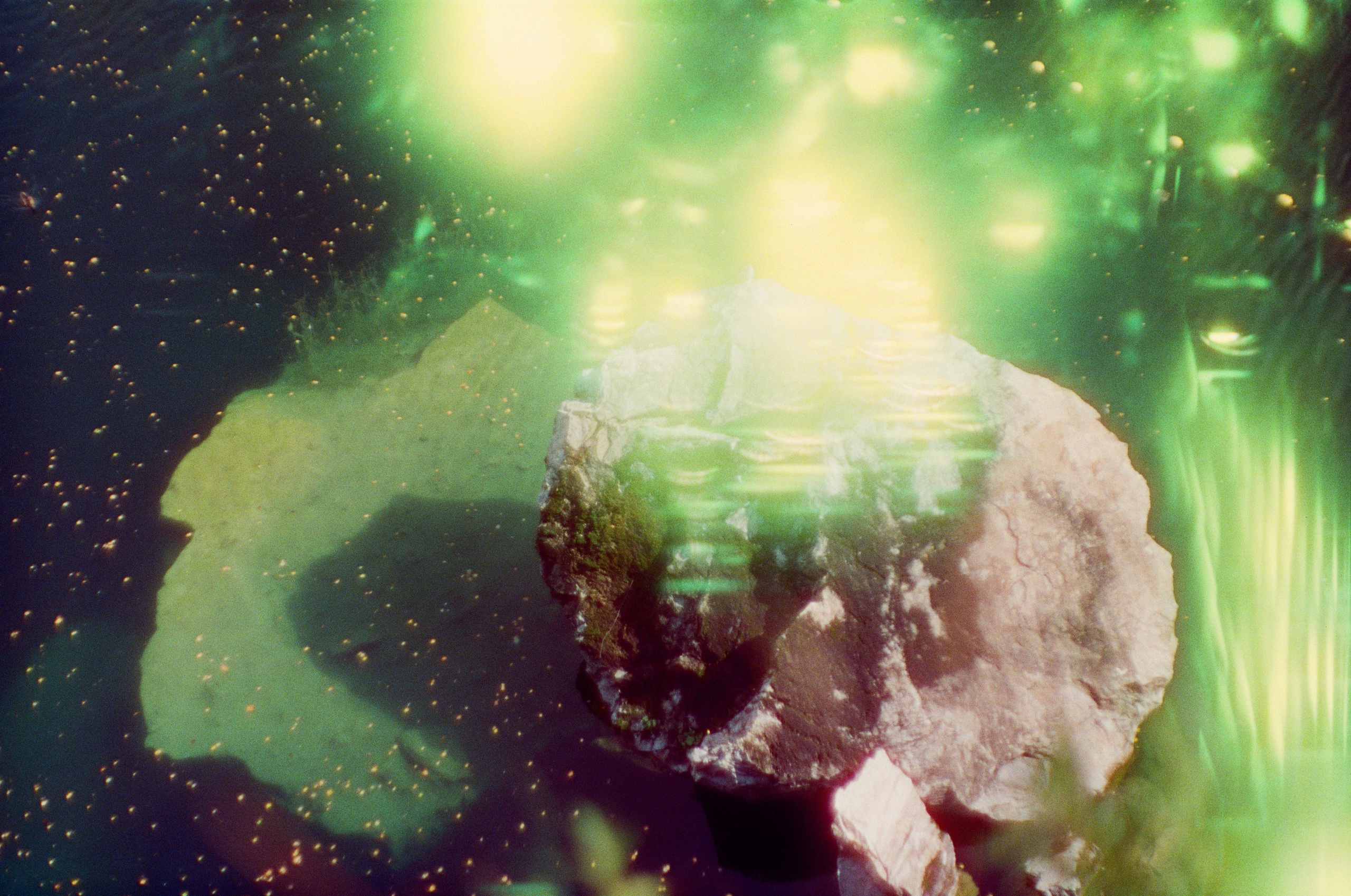 Поляк-Брагинский Александр и Князева Марина. ARTEXPOPHOTO