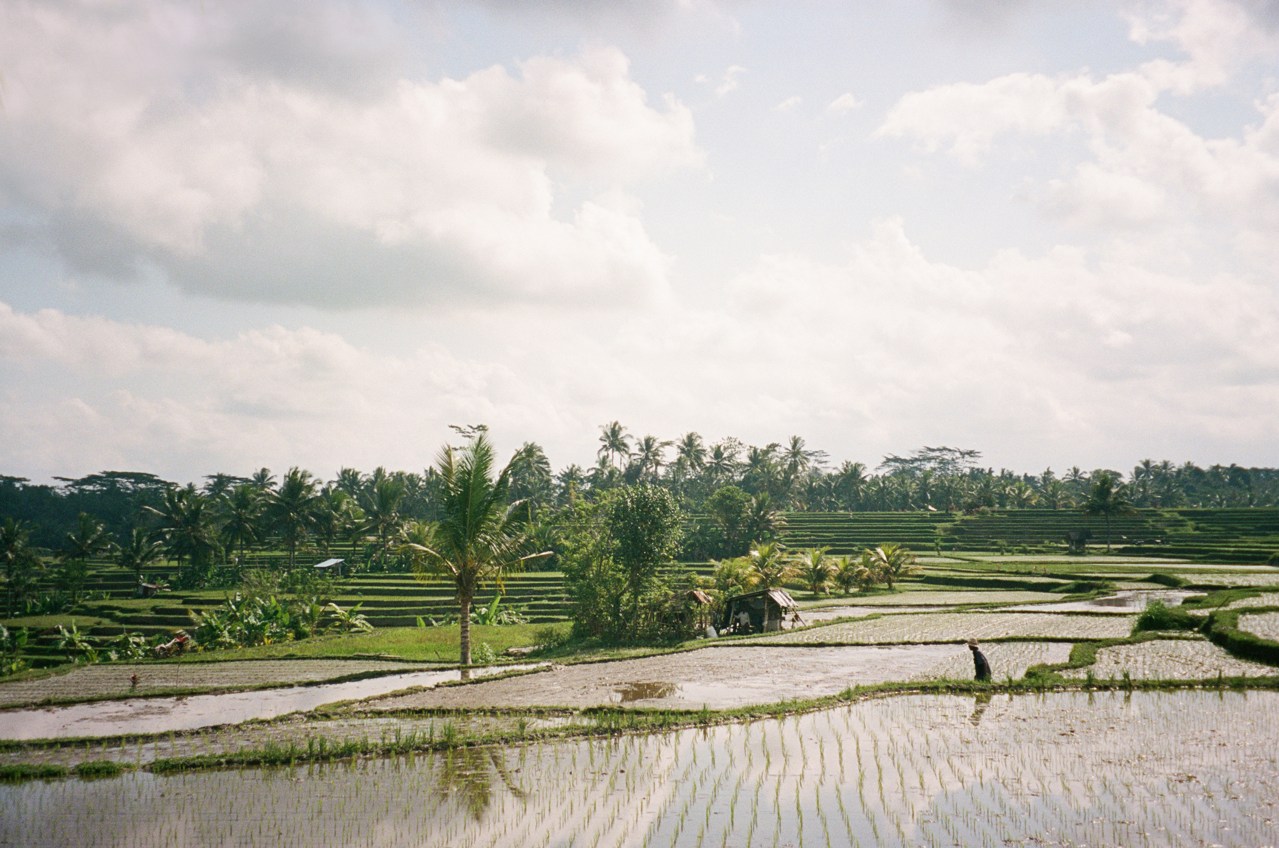 Бали на плёнку. Ольга Антипова — фотограф