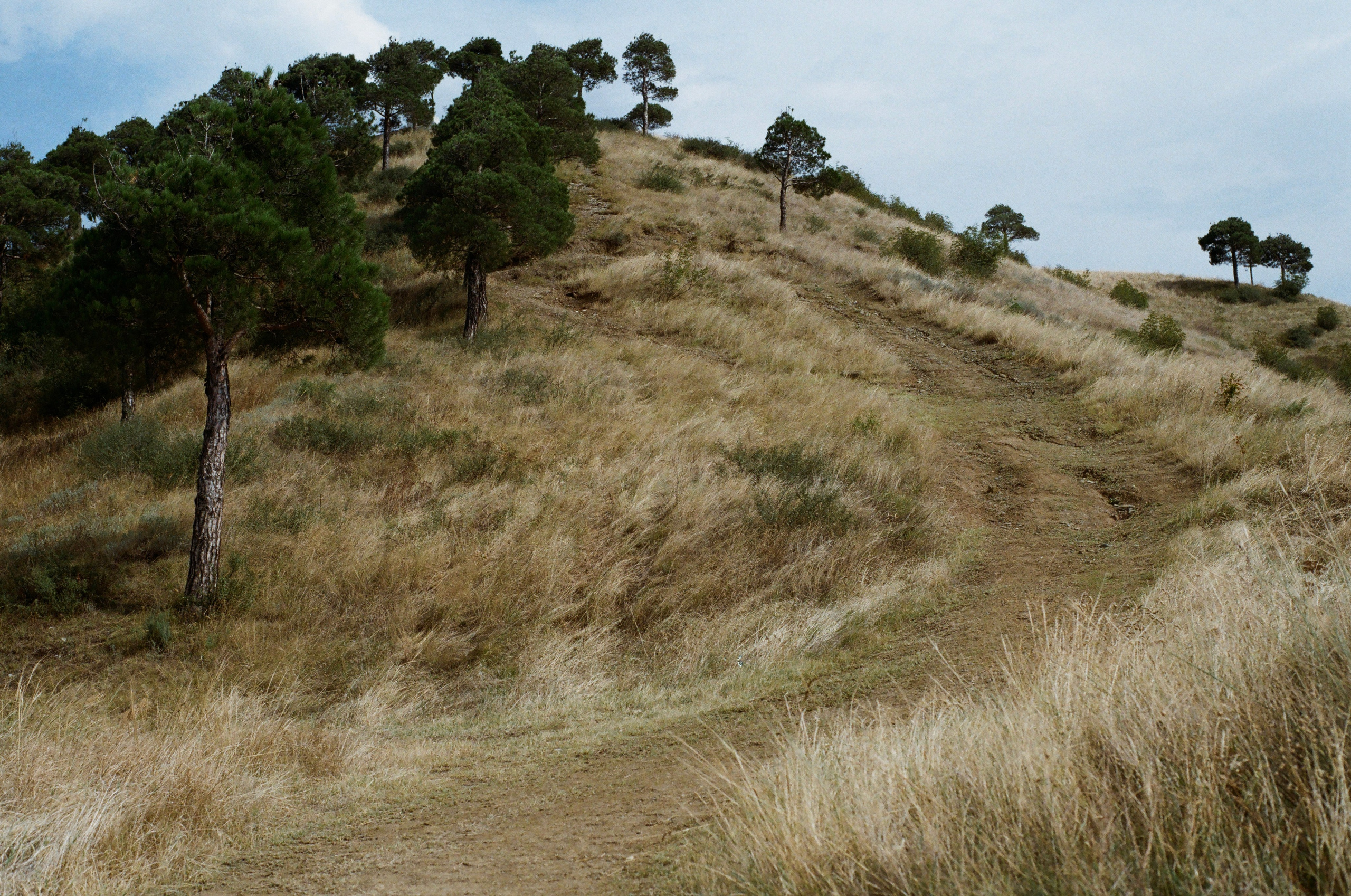 Journal. Photographer Dima Sharov | Фотограф Дима Шаров