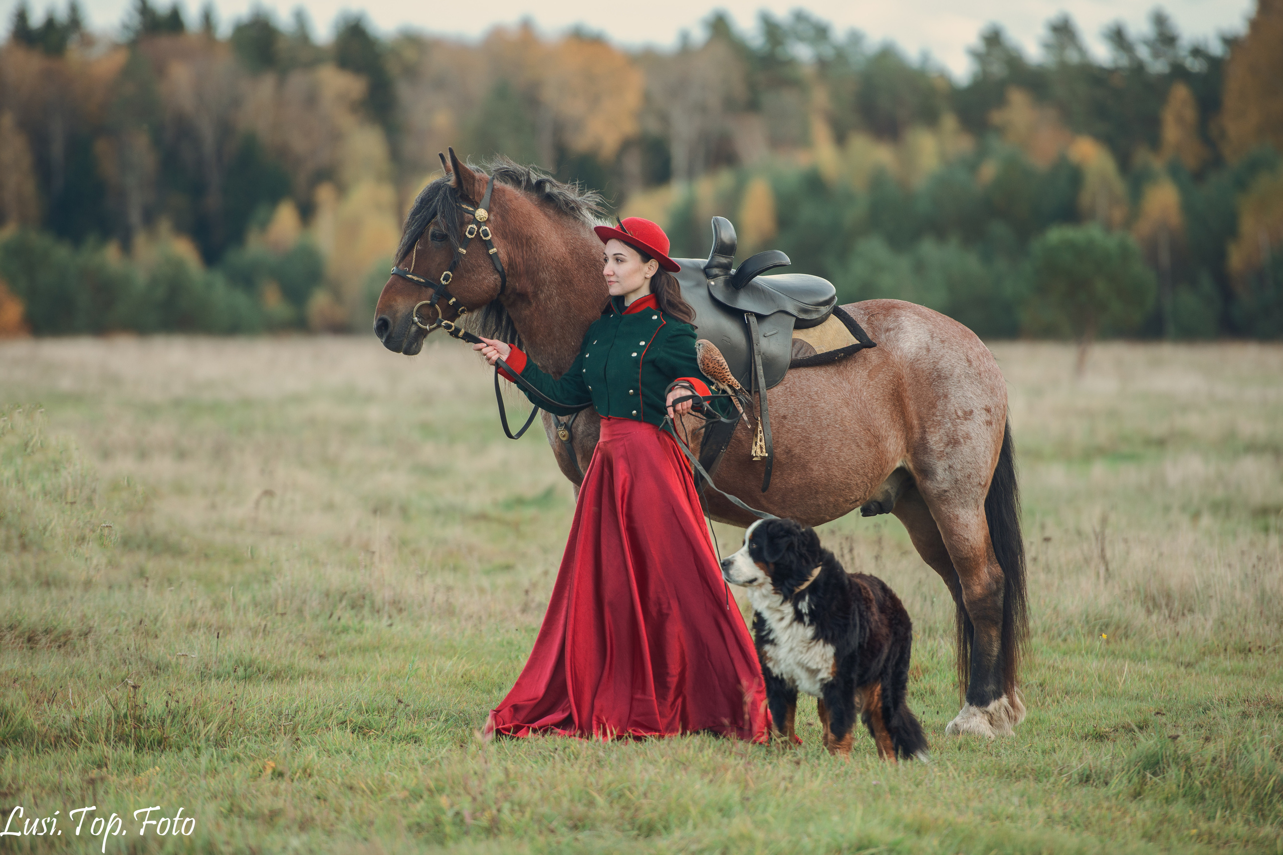 Услуги и цены. Конный и фотограф с животными в Твери Топталова Люся