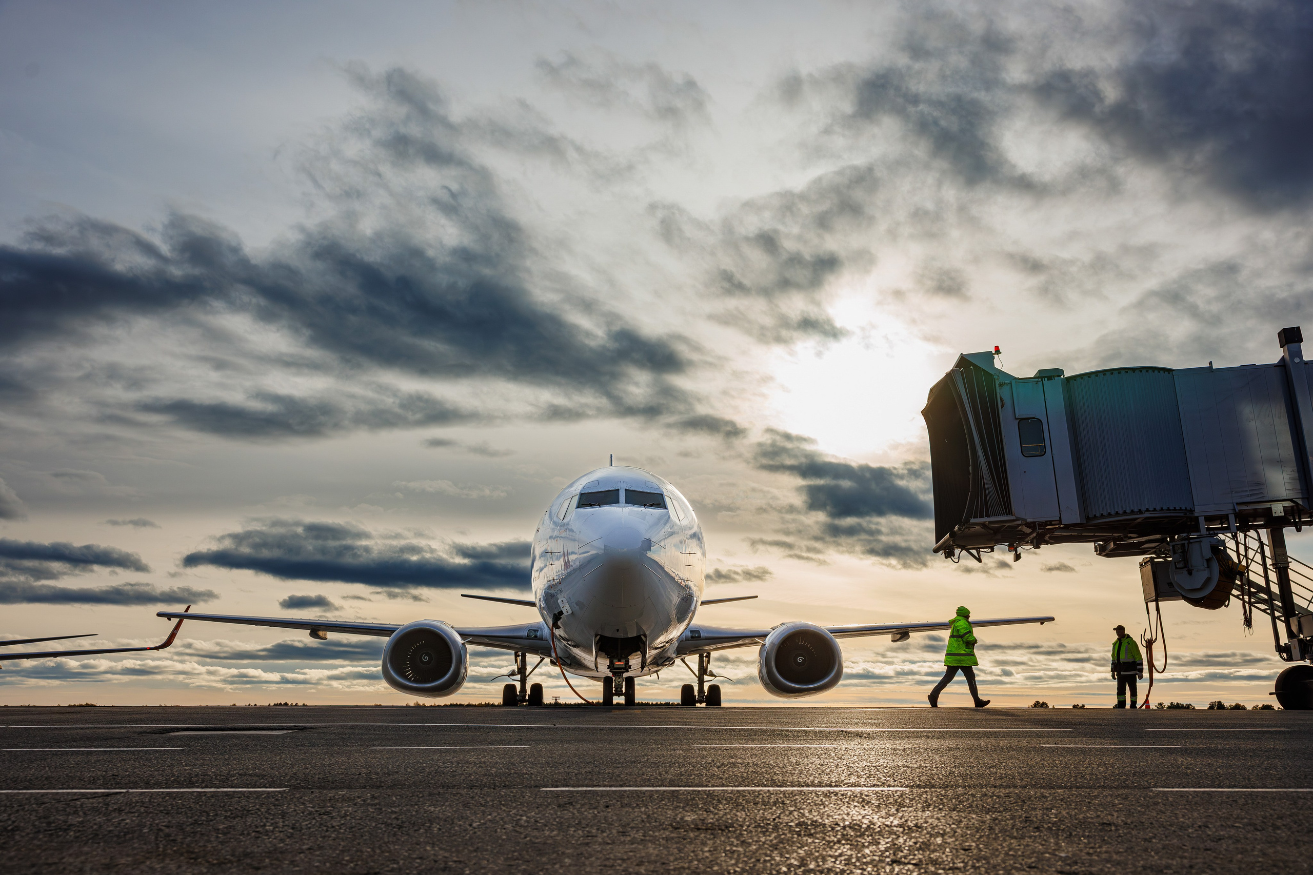 Главная. Главная