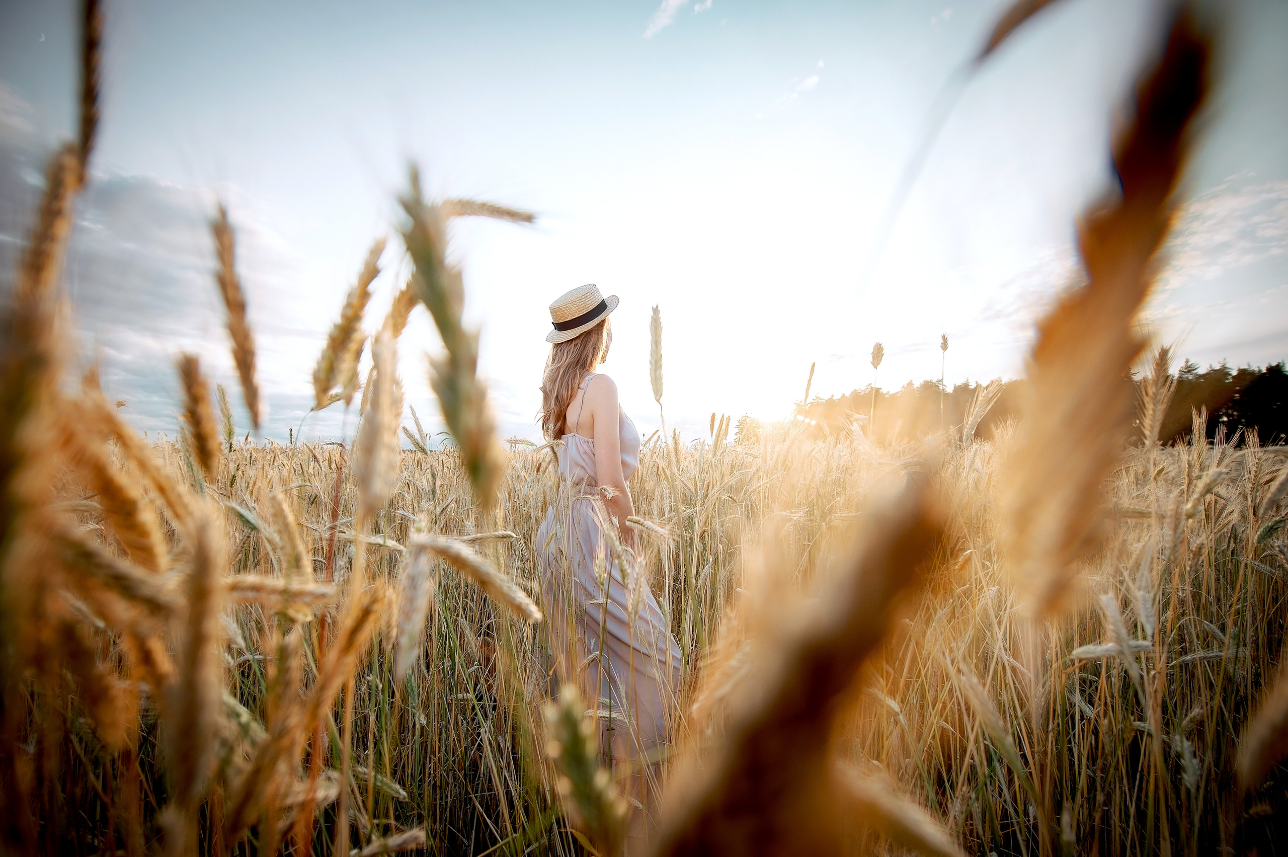 Что и где цветёт в Щёлково. Свадебный и семейный фотограф Виктория Носачёва. Щелково, Москва и МО