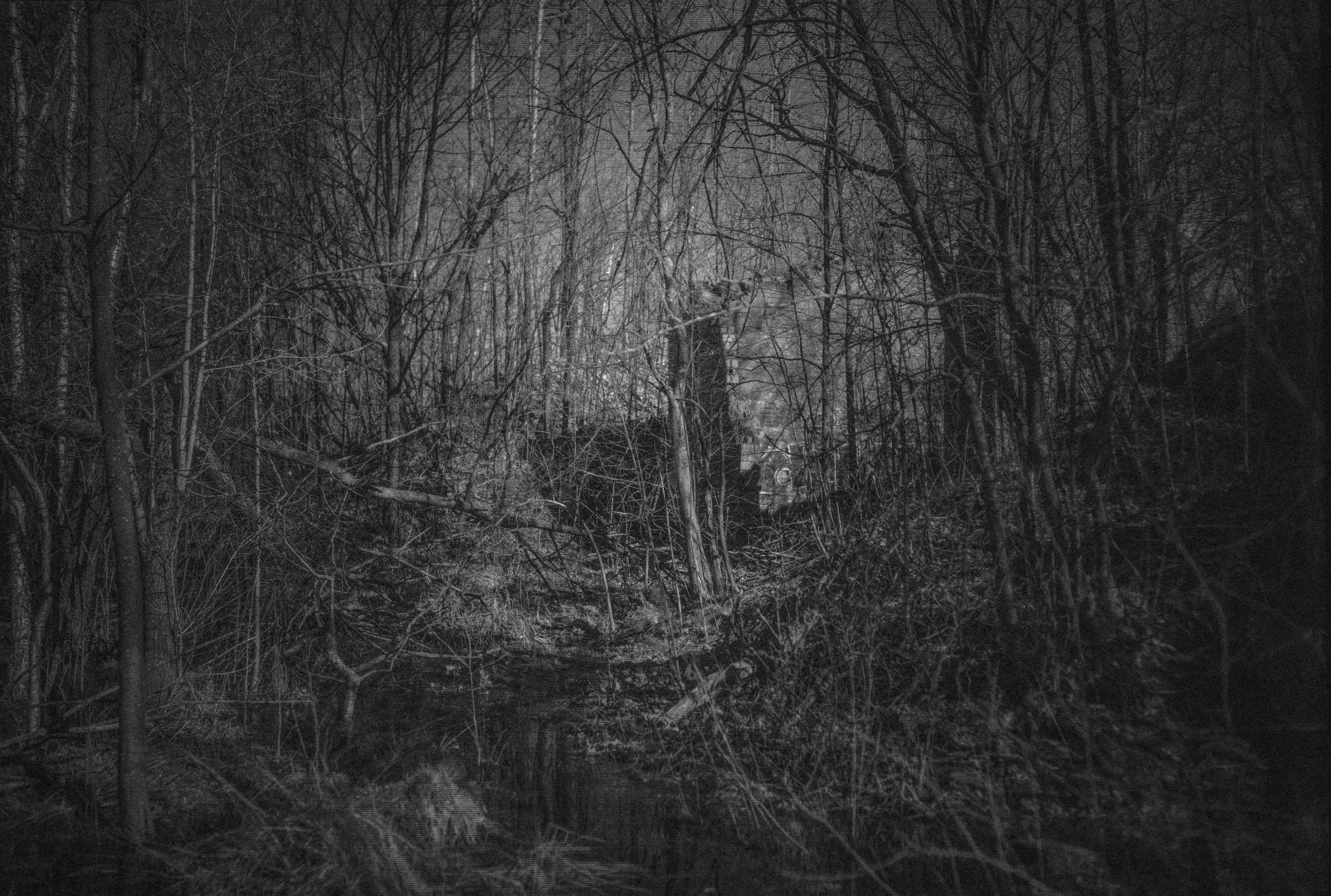 Весенняя Красногвардейская пастораль. Роман Ходырев — художник, фотограф, музыкант, эзотериолог. Санкт-Петербург, Рига