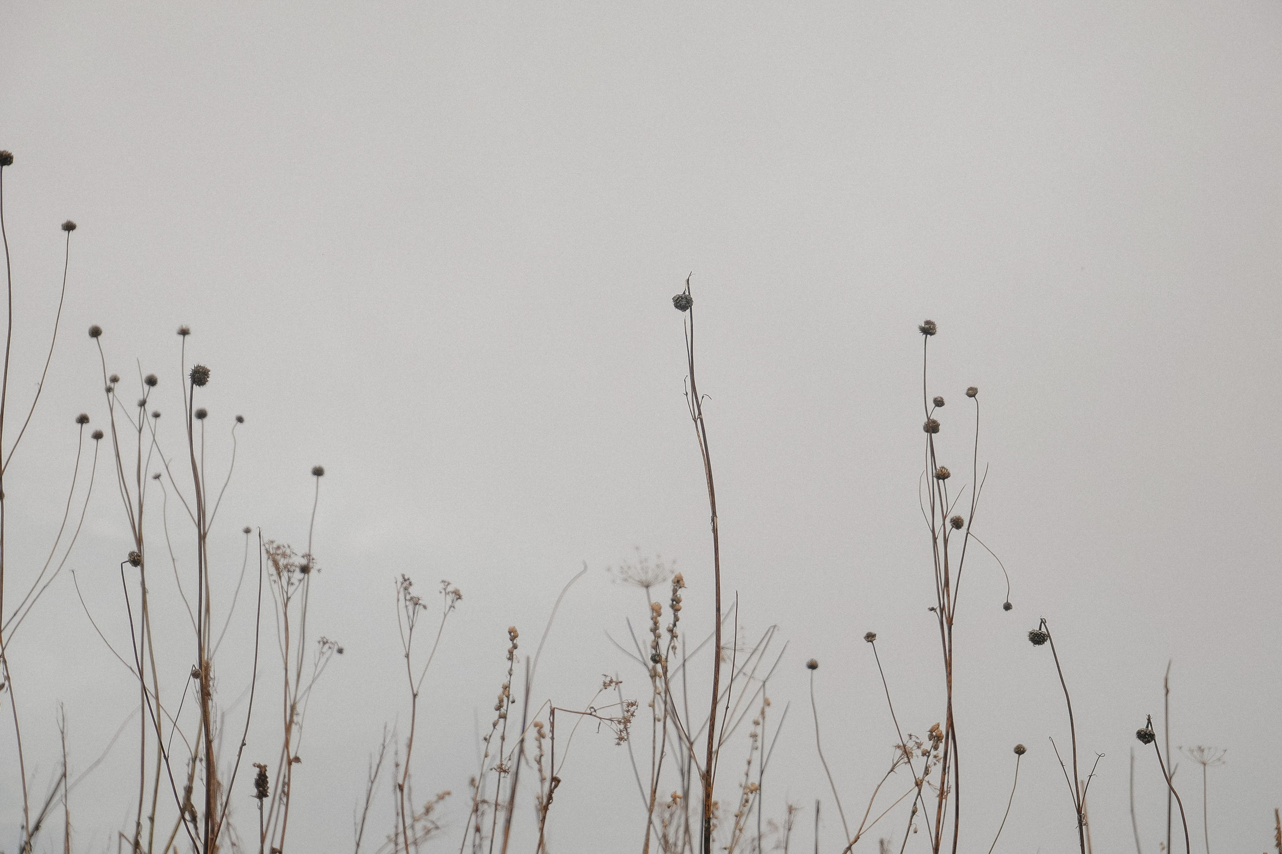 Обучение. Свадебный фотограф Евгения Черепанова