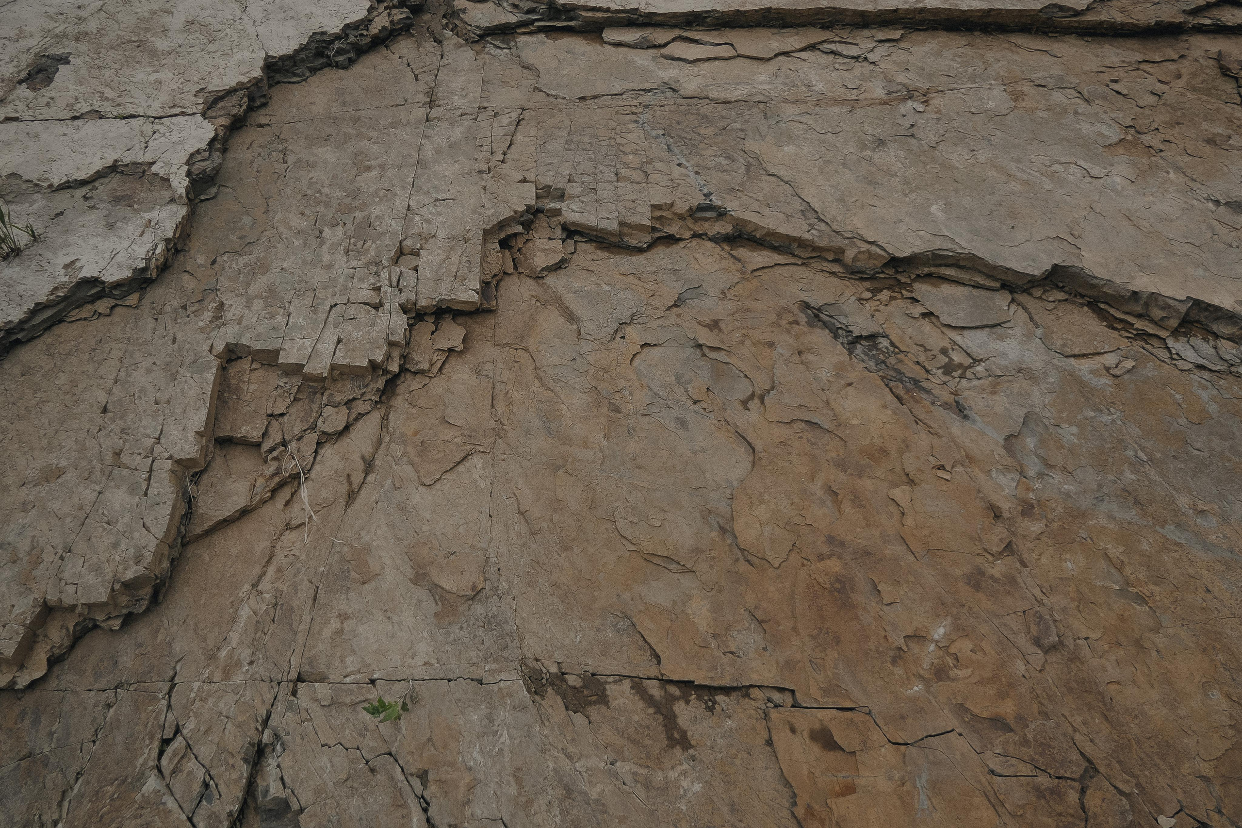 Обучение. Свадебный фотограф Евгения Черепанова