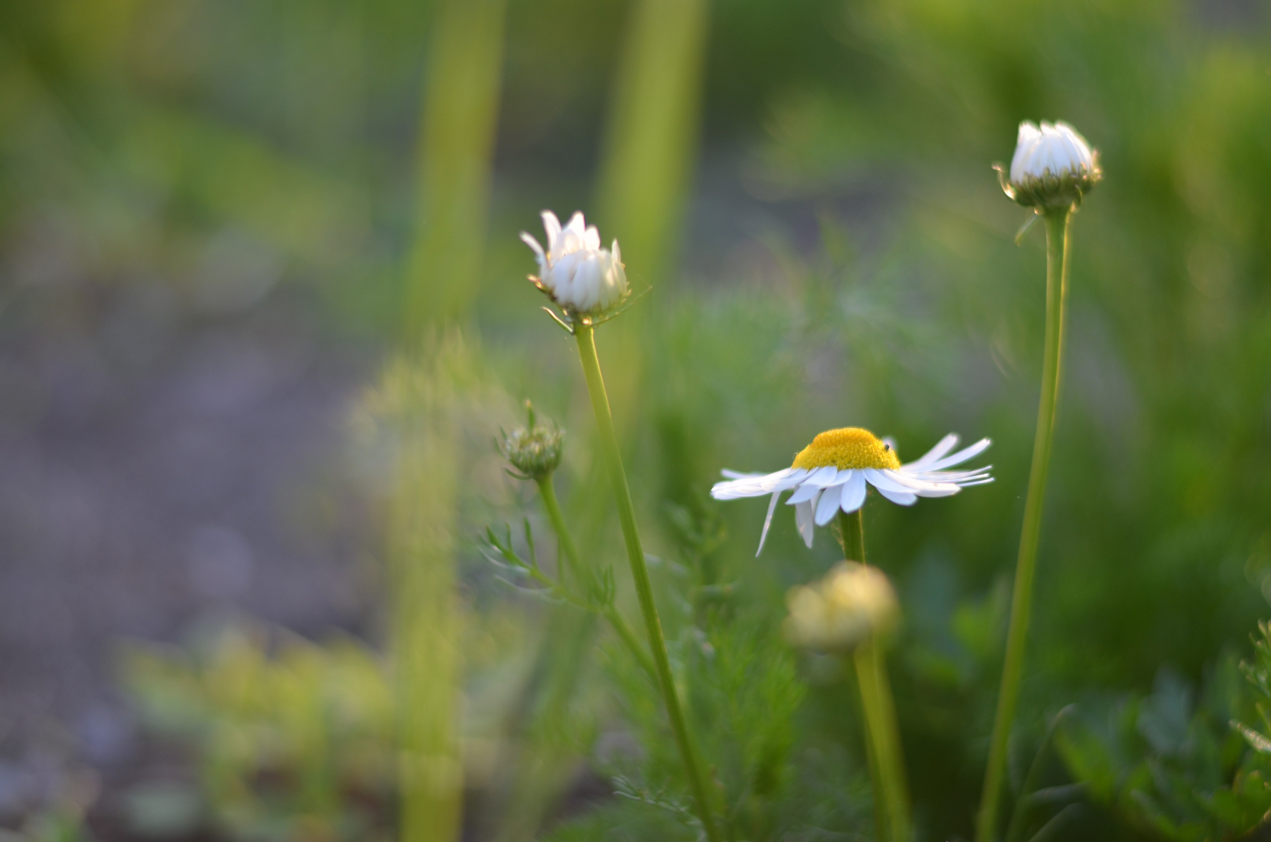 Портретный и репортажный фотограф в Санкт-Петербурге Варвара Жукова