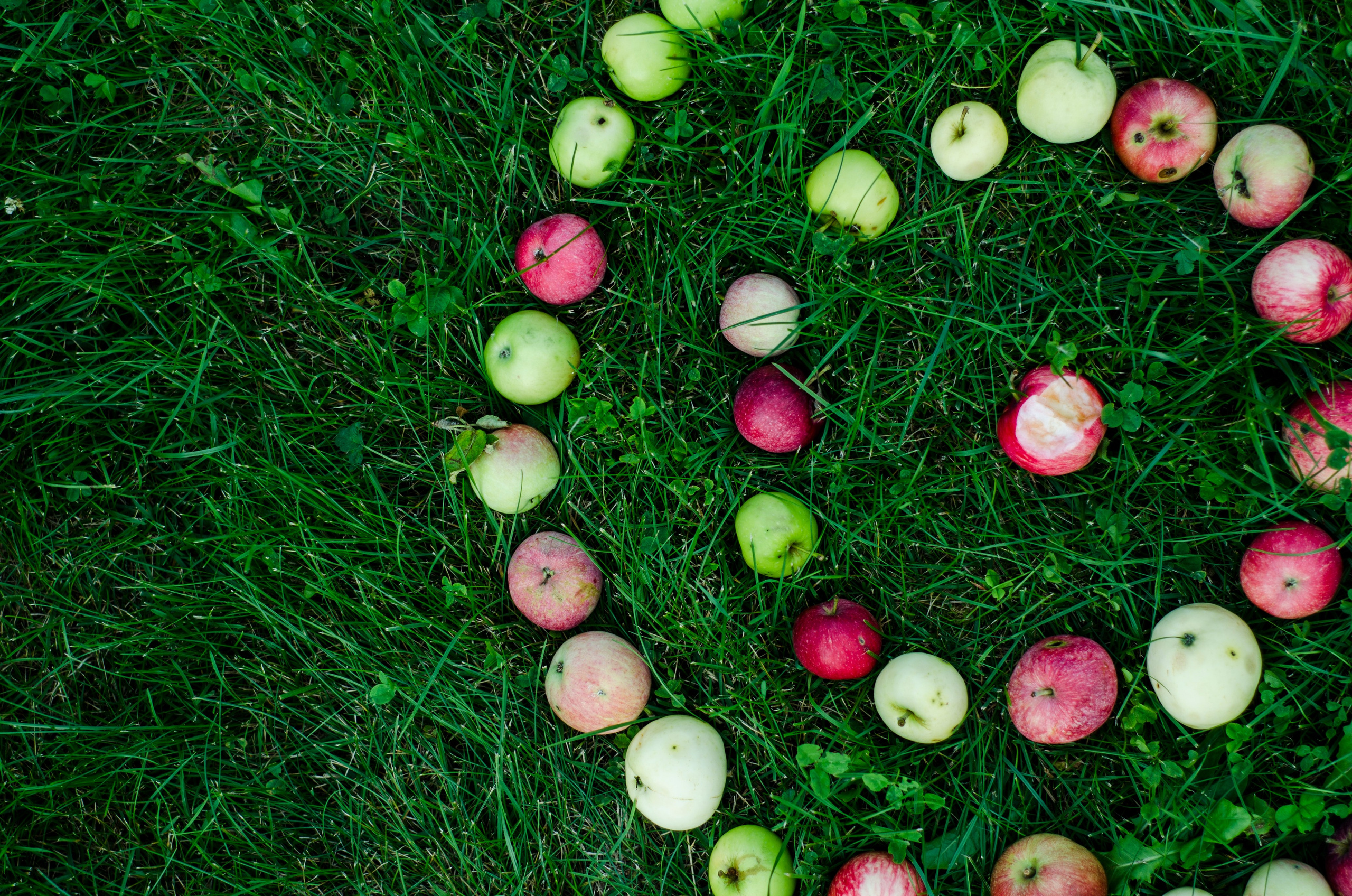 Годовая лаборатория «Чердак ресурсов». Психолог Кирилл Вахитов