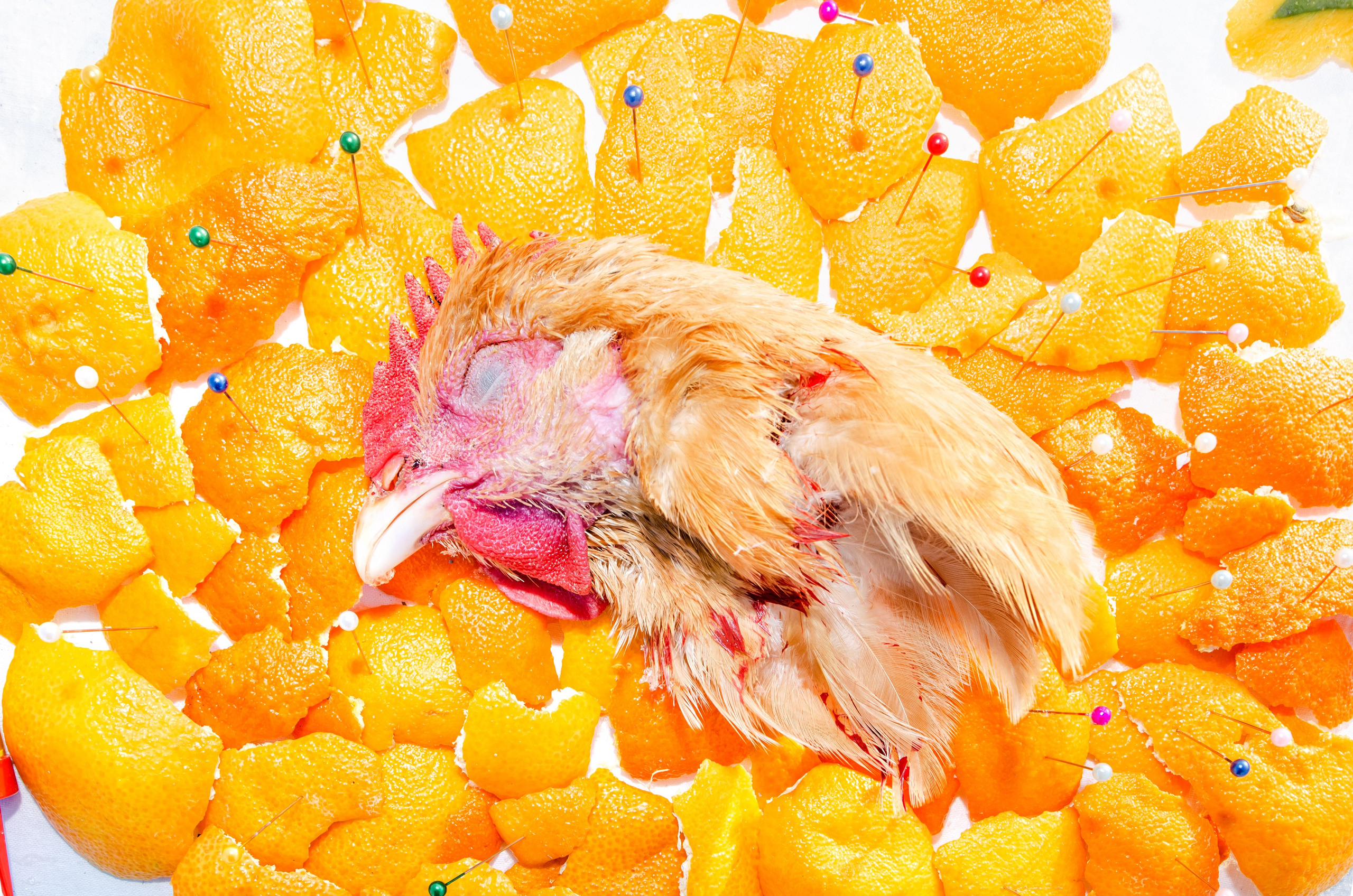 Воображаемые друзья. Анна Хвалина