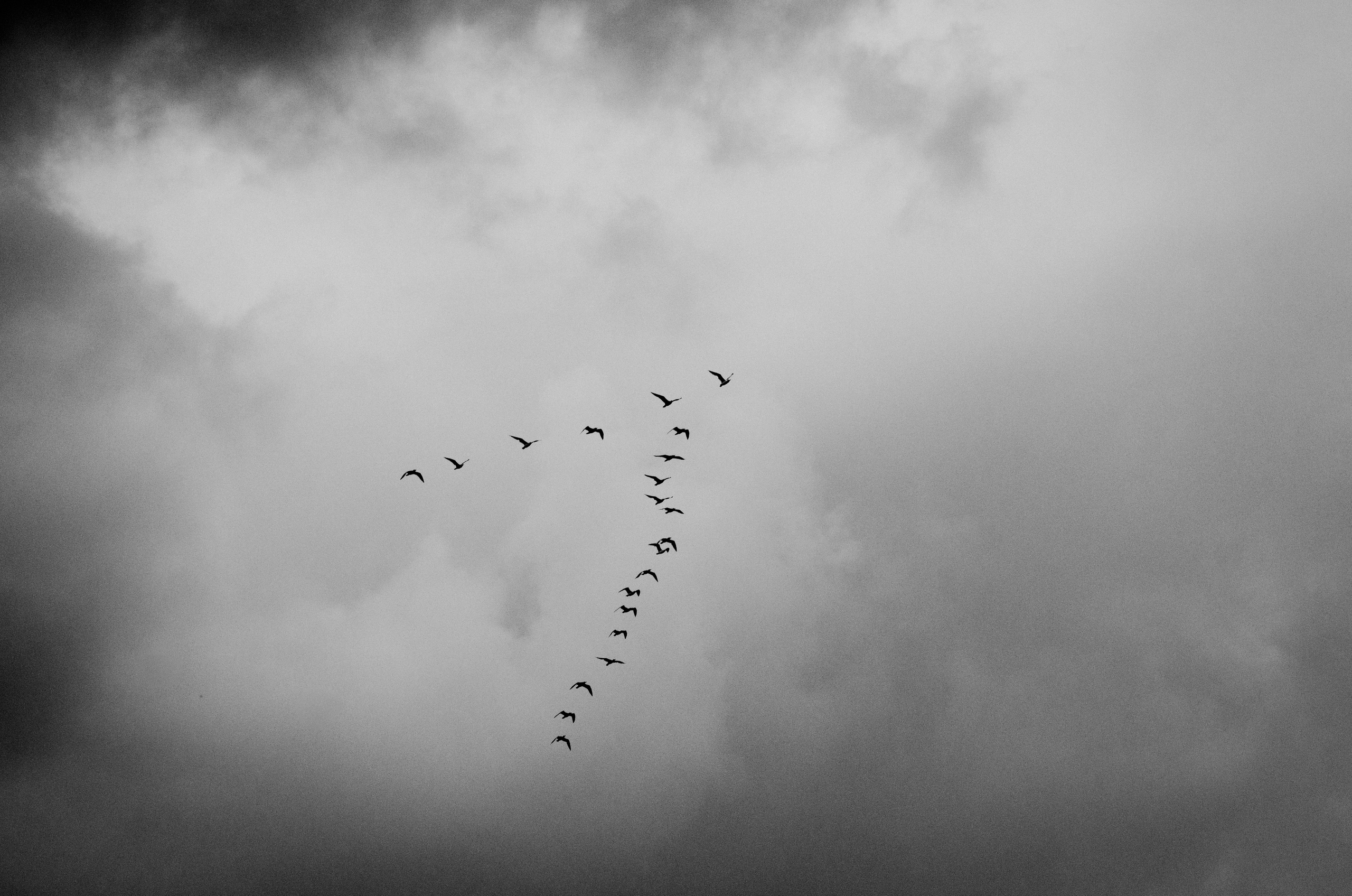 Фотограф Анастасия Кашенко город Краснодар