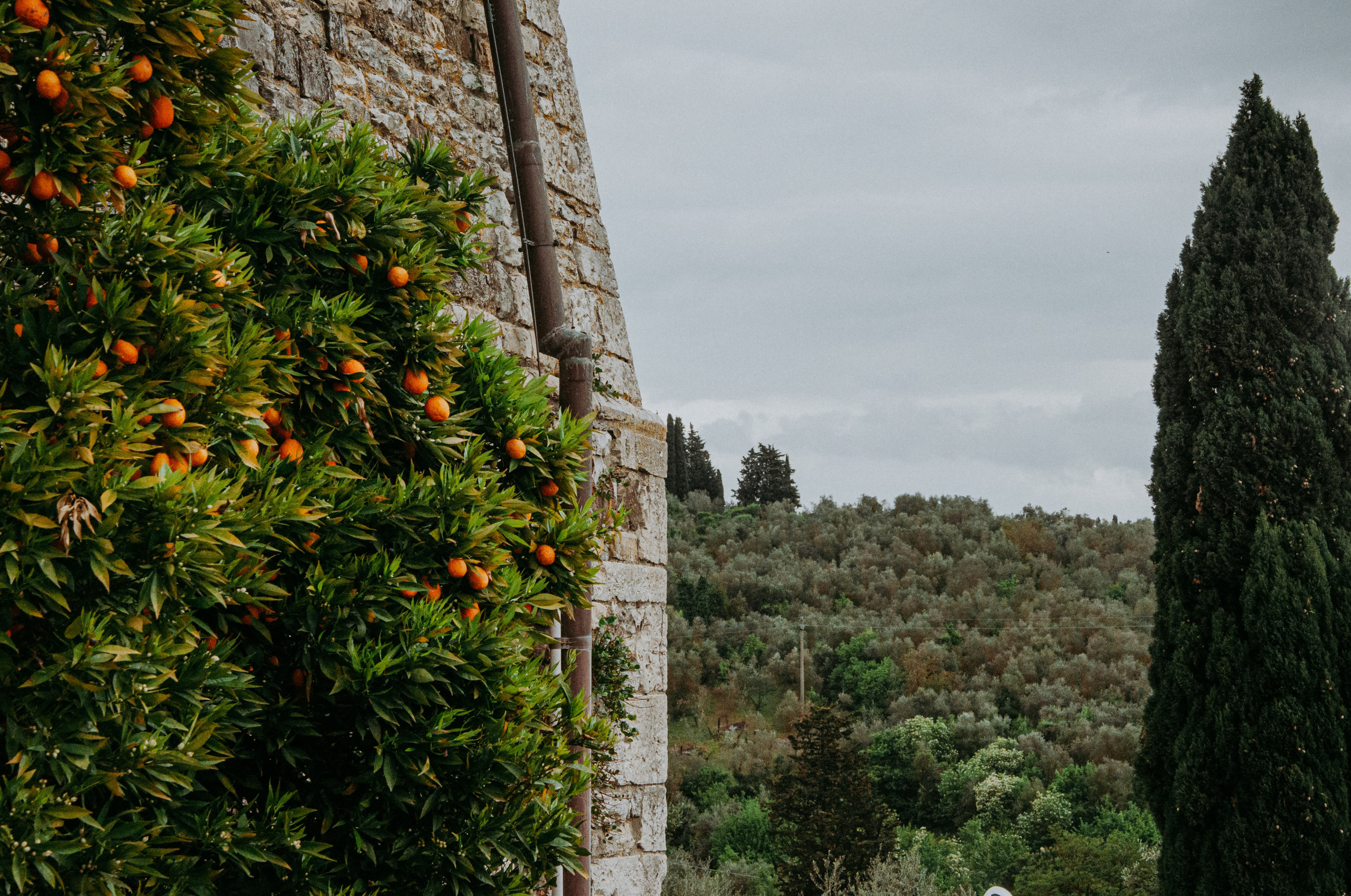 Картезианский монастырь под Флоренцией. Фотограф в Сочи и Абхазии | Фототуры | September Air