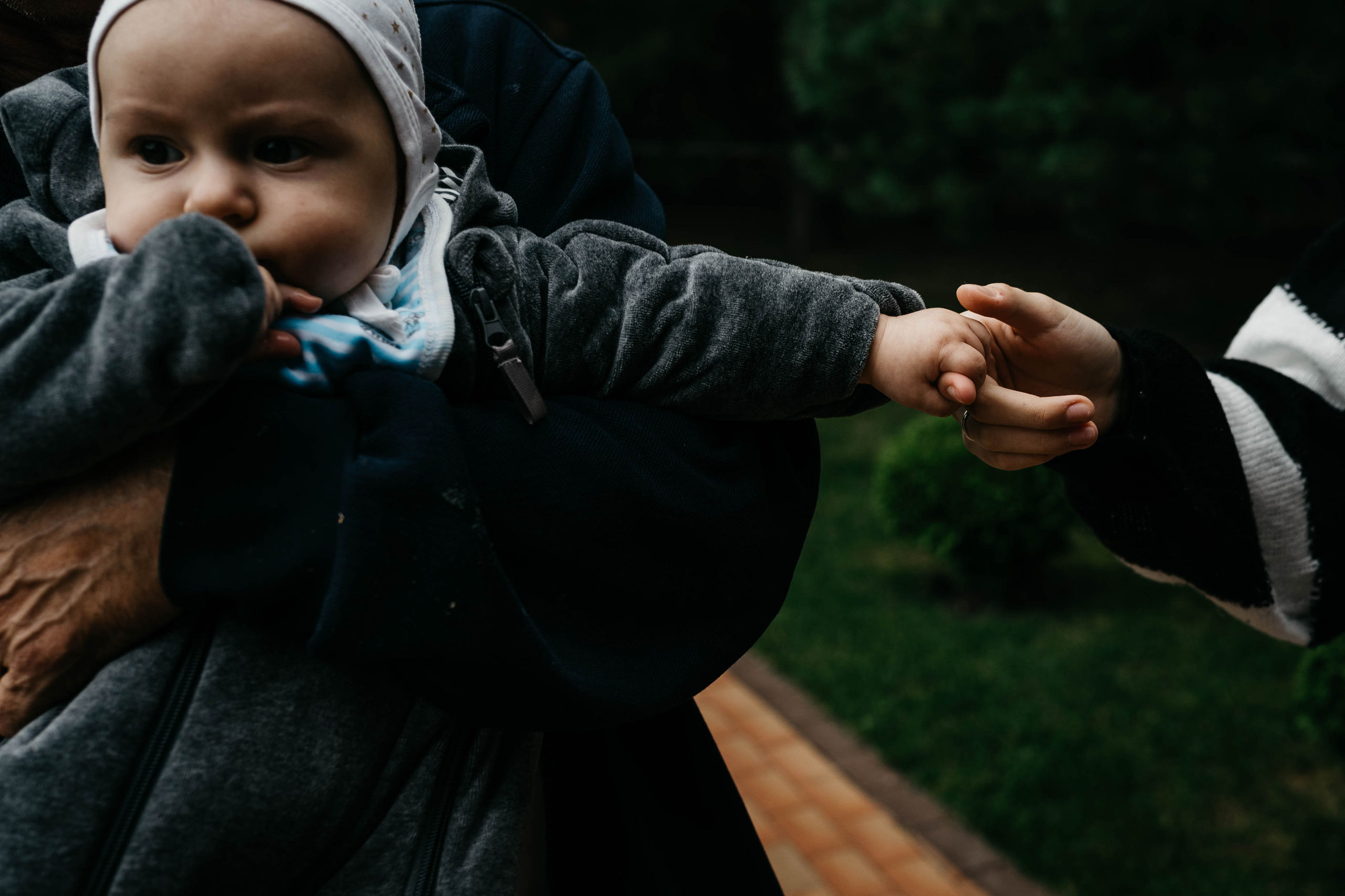 Услуги и цены. Семейный фотограф в Москве Полина Курданина