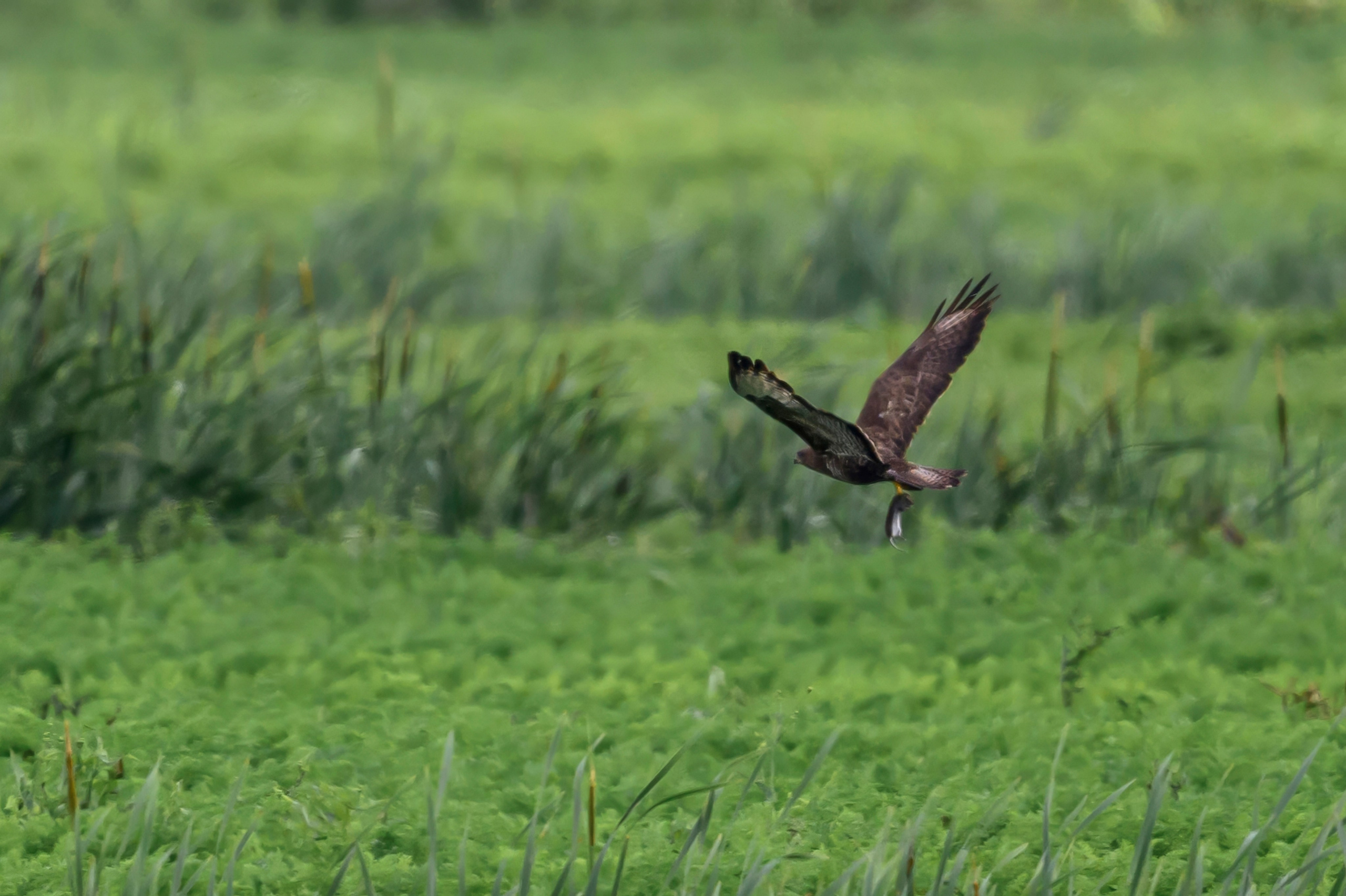 После урагана. After the hurricane. Фотограф Сергей Пупонин