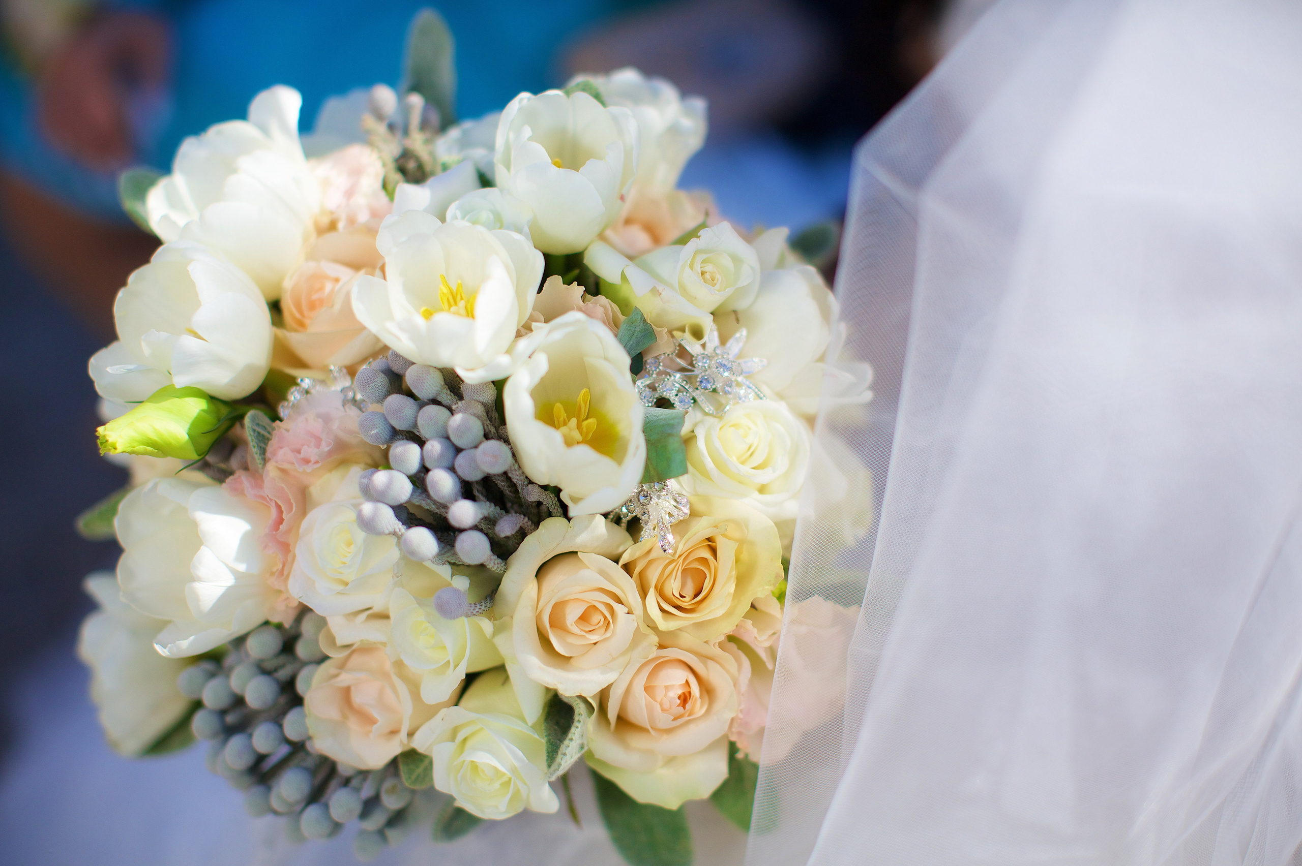 Прайс. Свадебный и семейный фотограф в Краснодаре Дегтярева Виктория