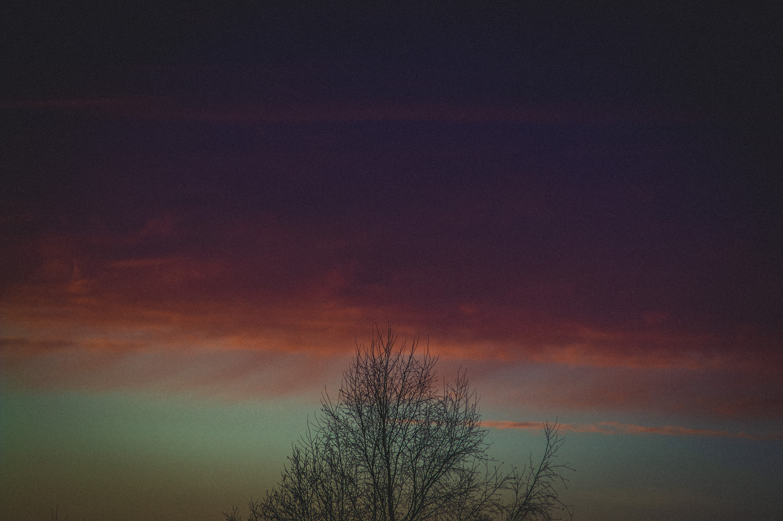Den Mirov — Photographer, Musician