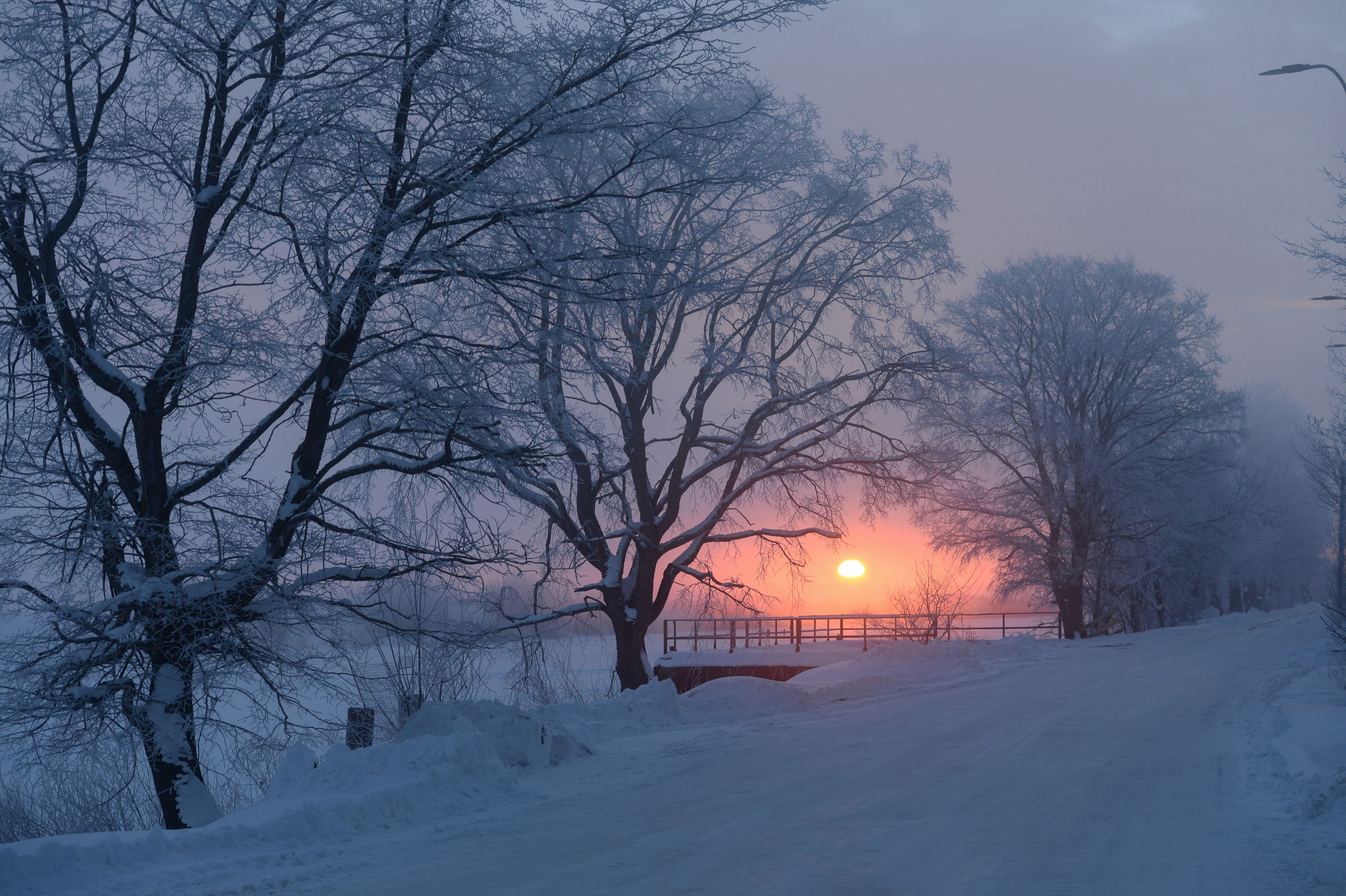 Документальный фотограф Сергей Вдовин