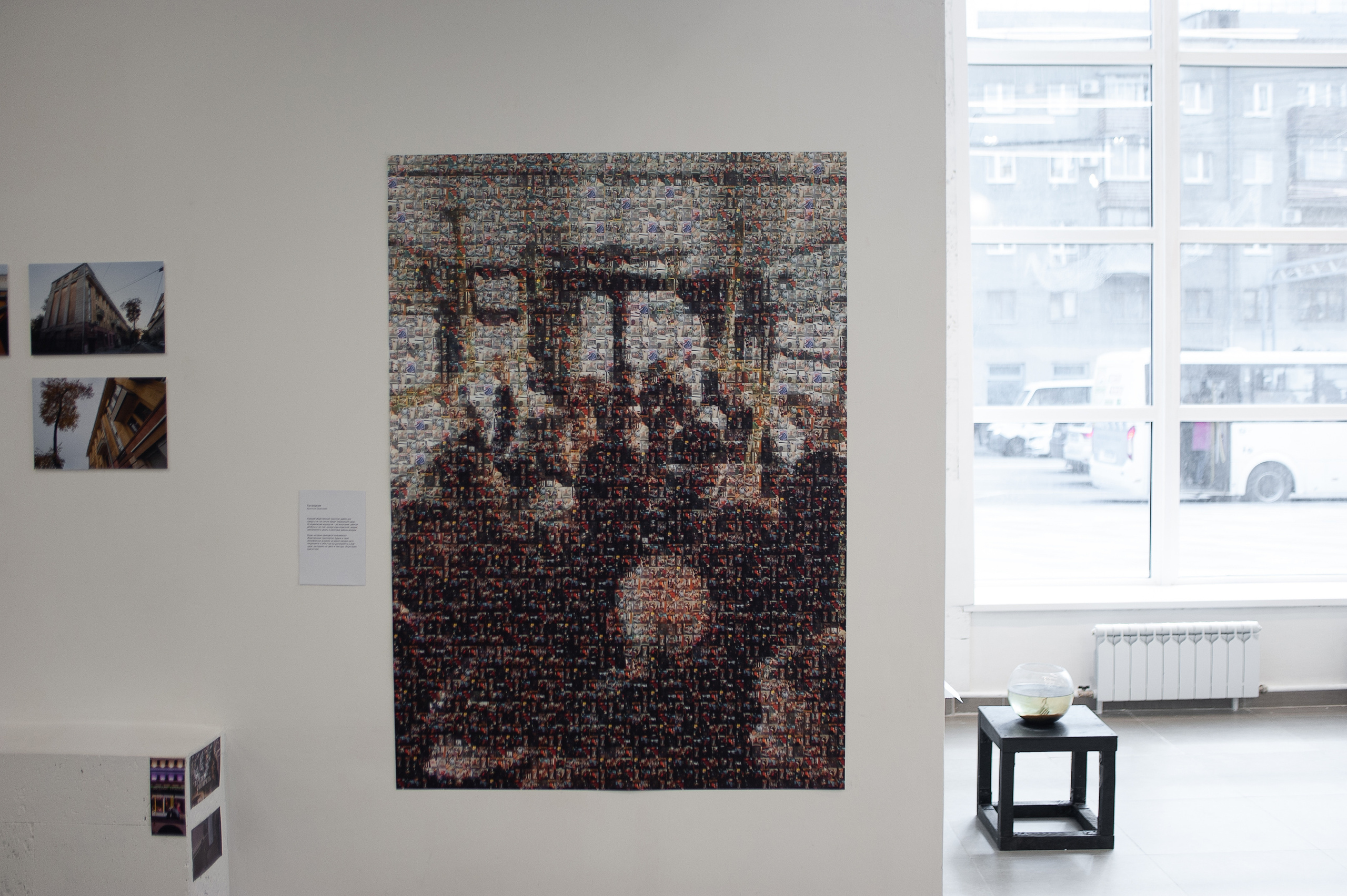 Бражникова Кристина. «ФотоСинтез»