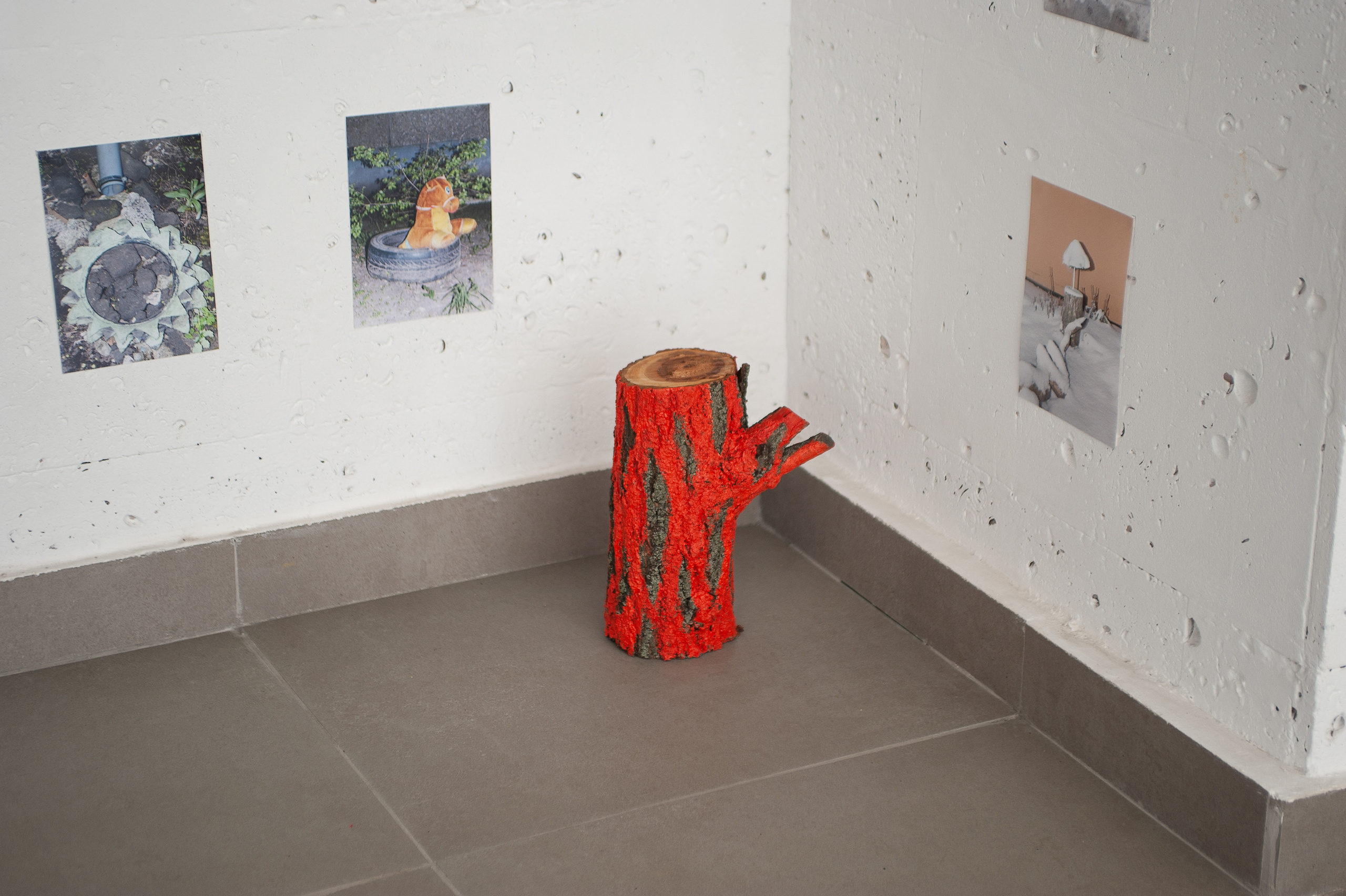 Плотникова Татьяна. «ФотоСинтез»