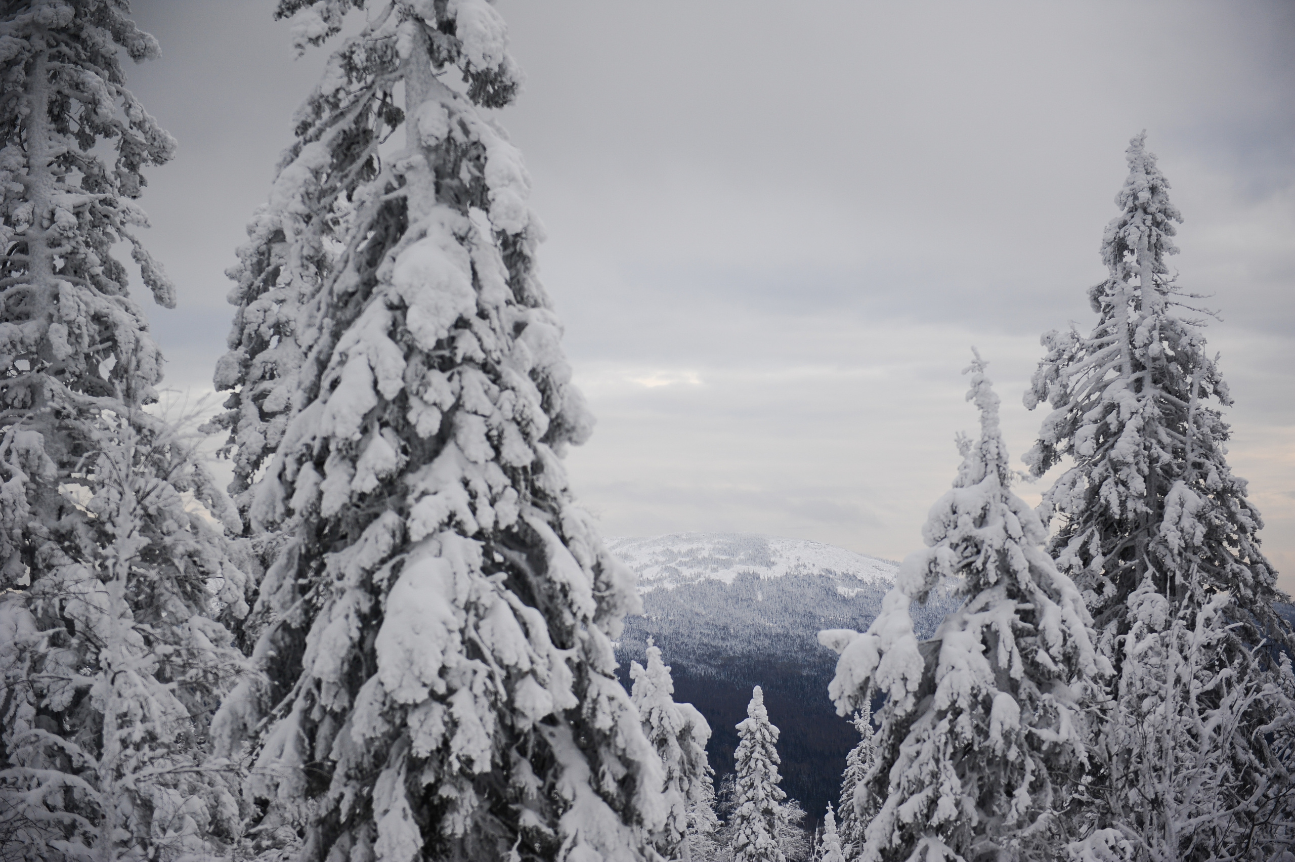 Снежный Таганай (Snowy Taganay). Главная (Home)