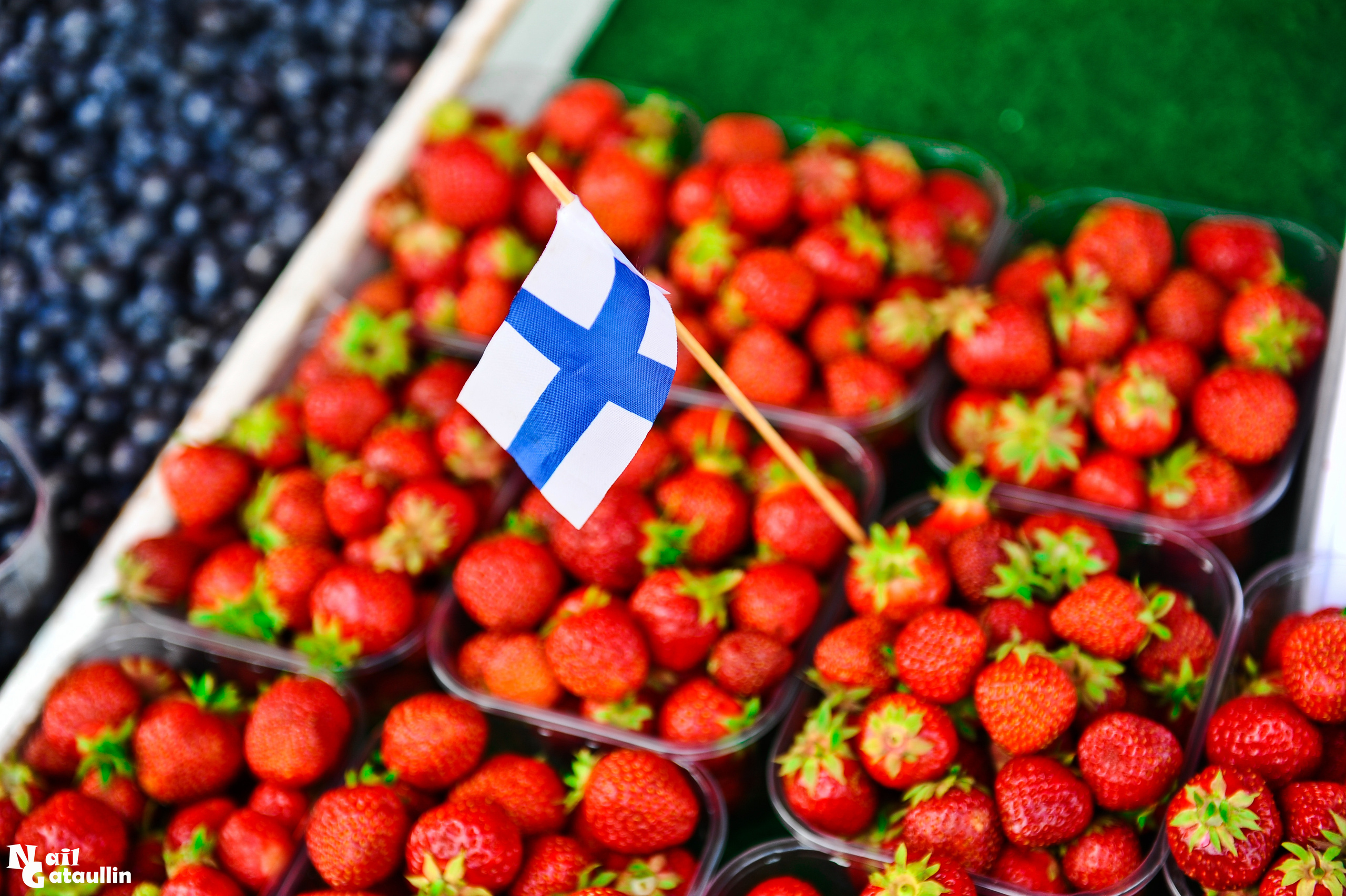 Финляндия (Finland). Главная (Home)