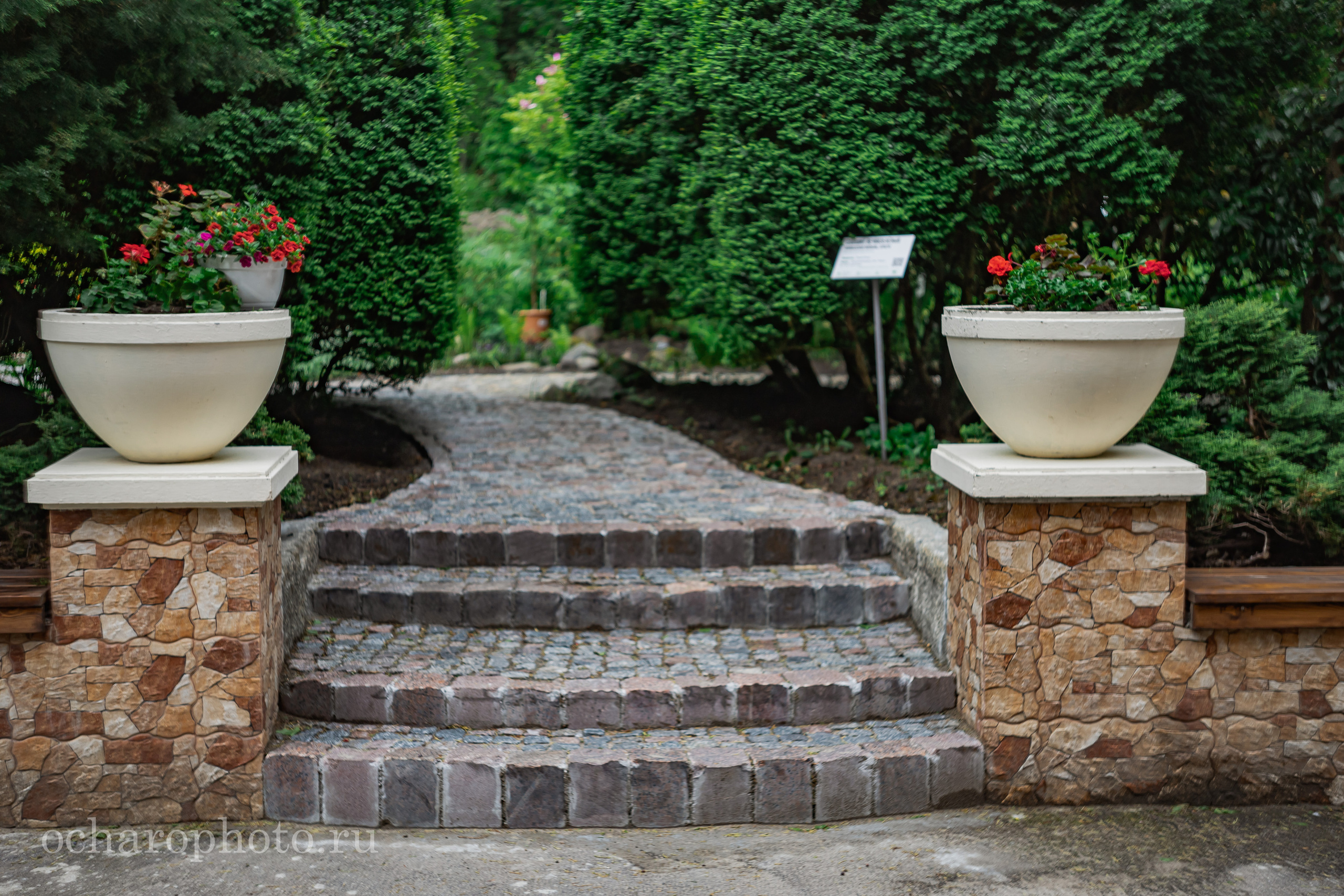 Ландшафтный парк Калининграда. AI-контент (генерации ИИ-фото и видео), стоковые фотографии Калининградской области