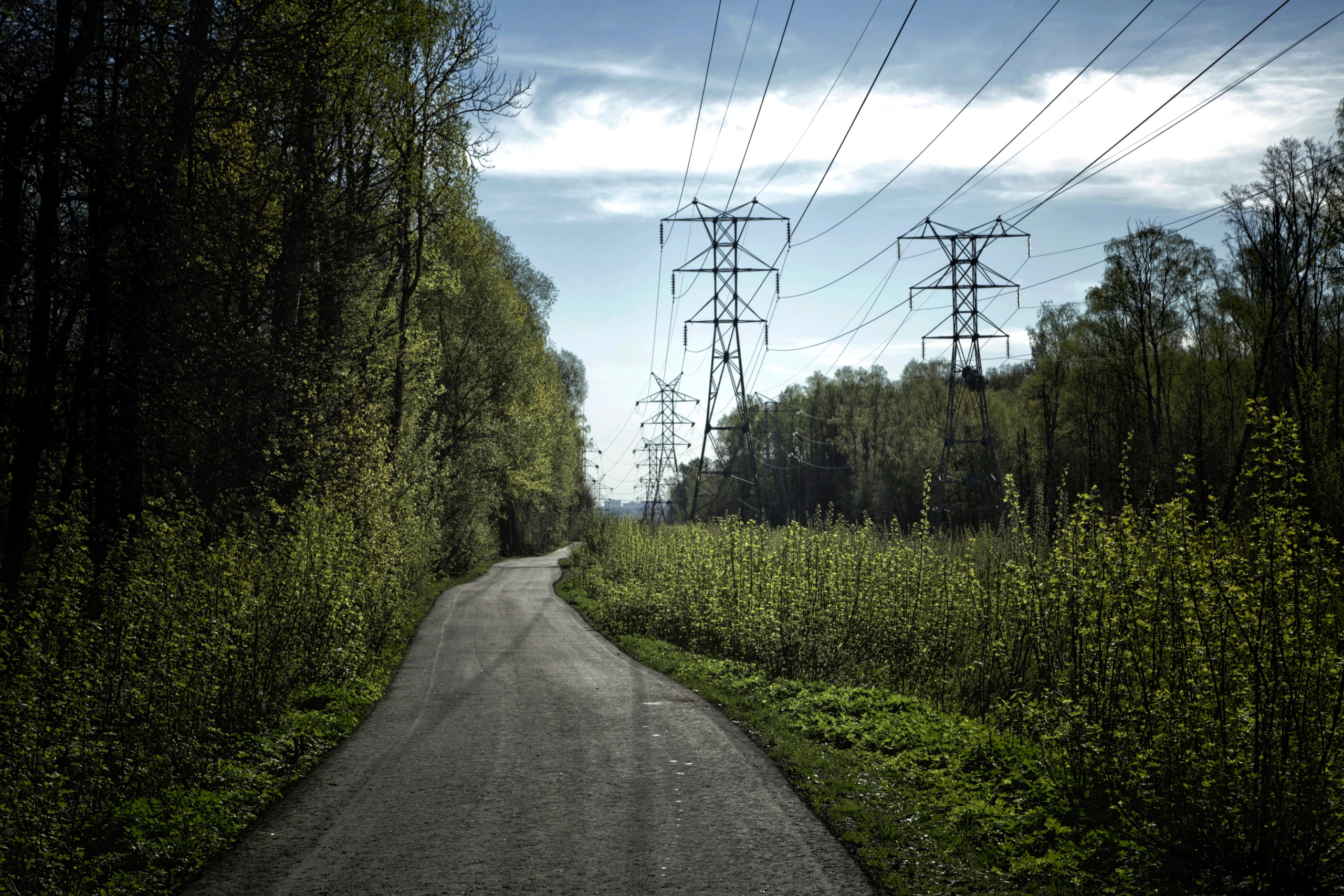 Дорога среди деревьев с опорами ЛЭП на горизонте: весенний пейзаж, индустриальный ландшафт, городская фотография, перспектива